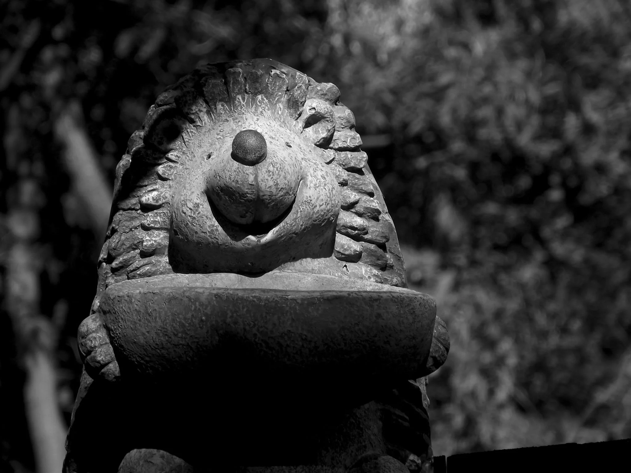 Am fost, am văzut, am reflectat, am învins.... 