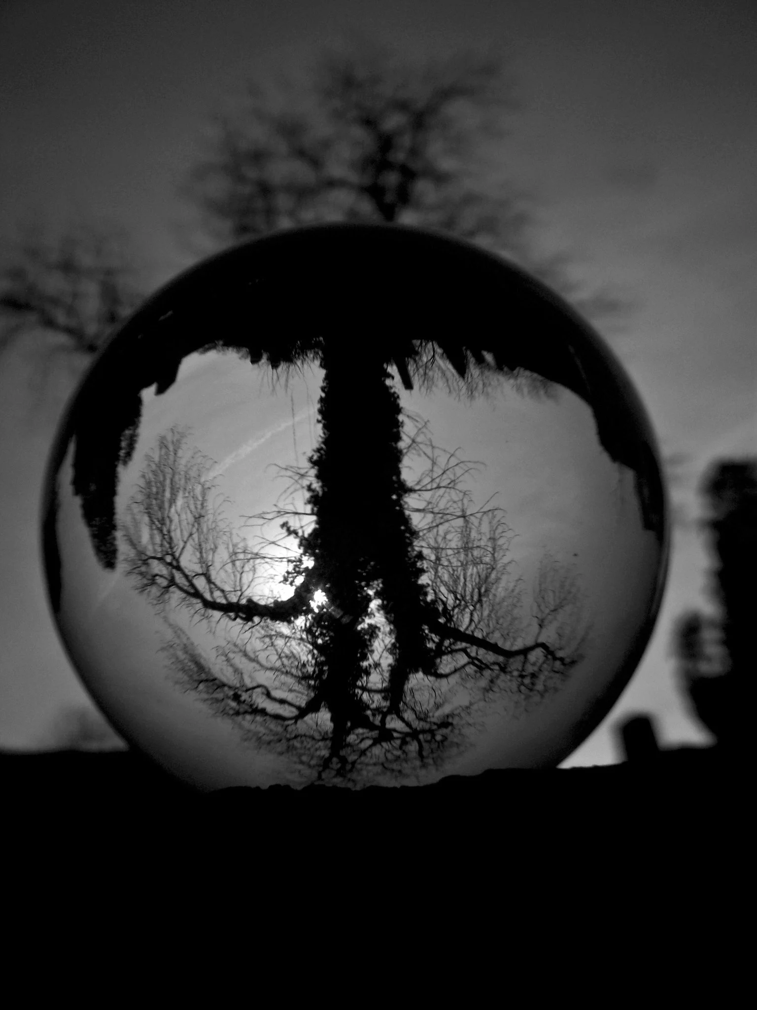 Terenul nostru de joacă – paradoxuri contemporane 