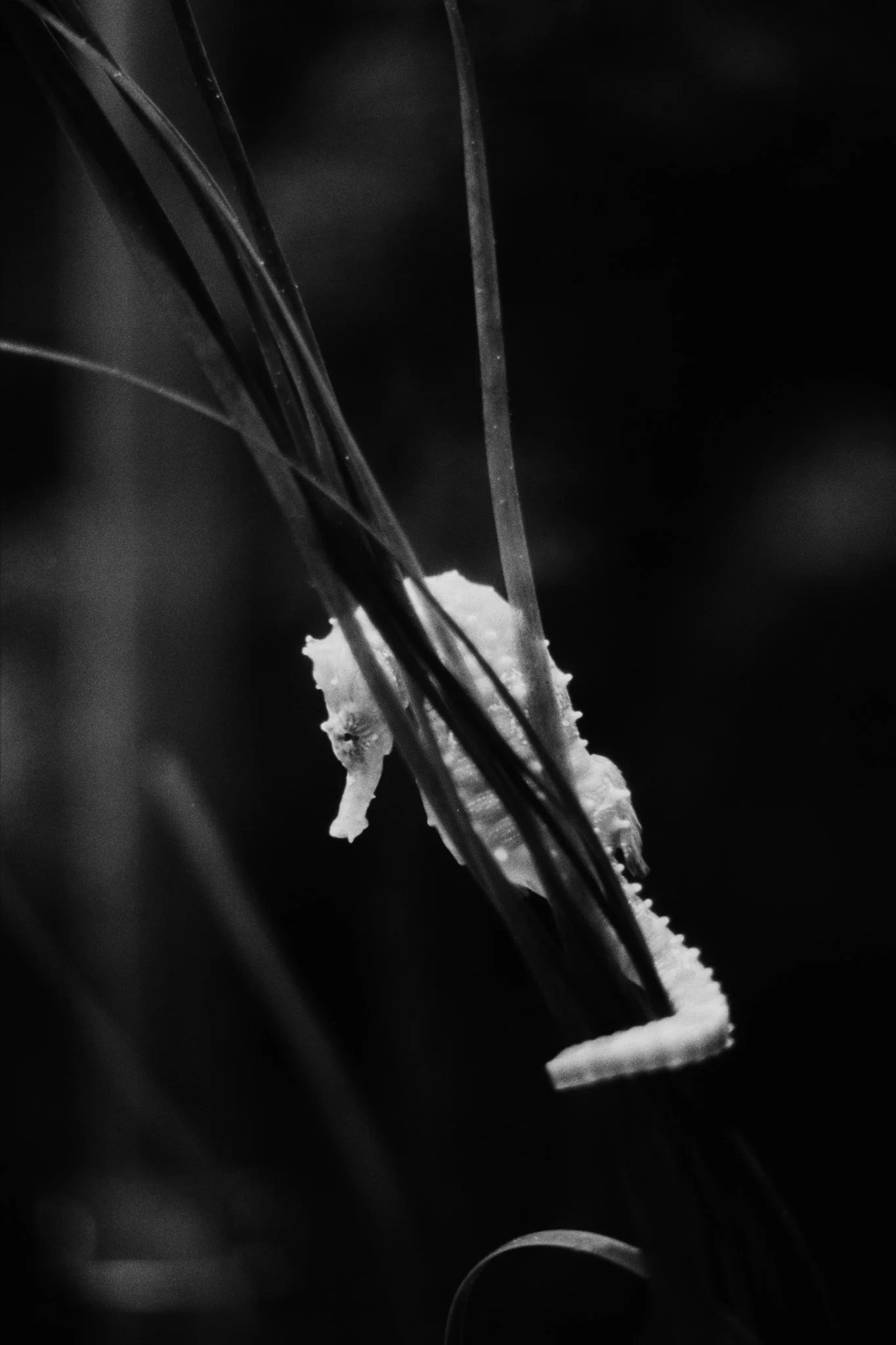 4193955-R1-26-27.jpg