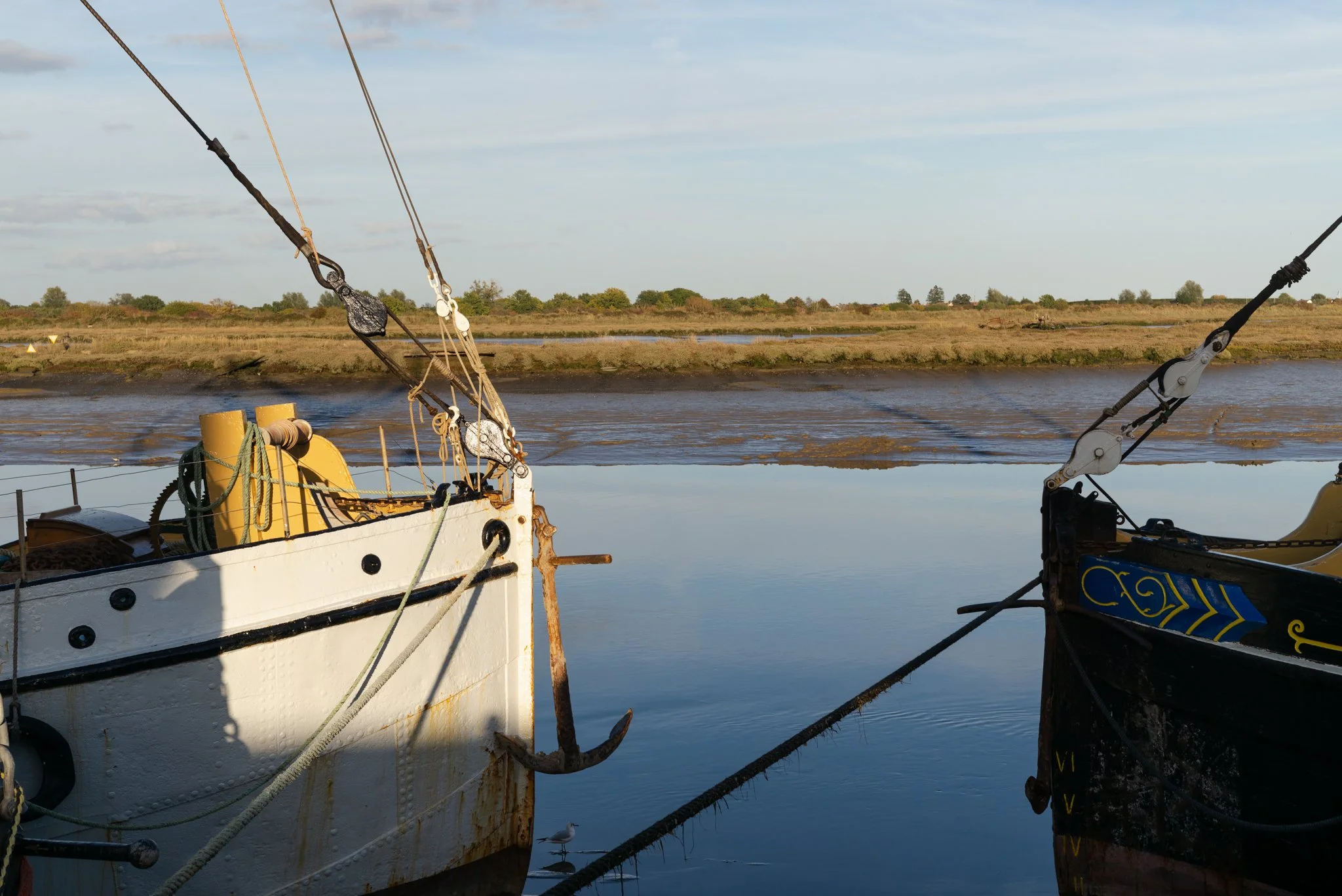 L1000699.jpg