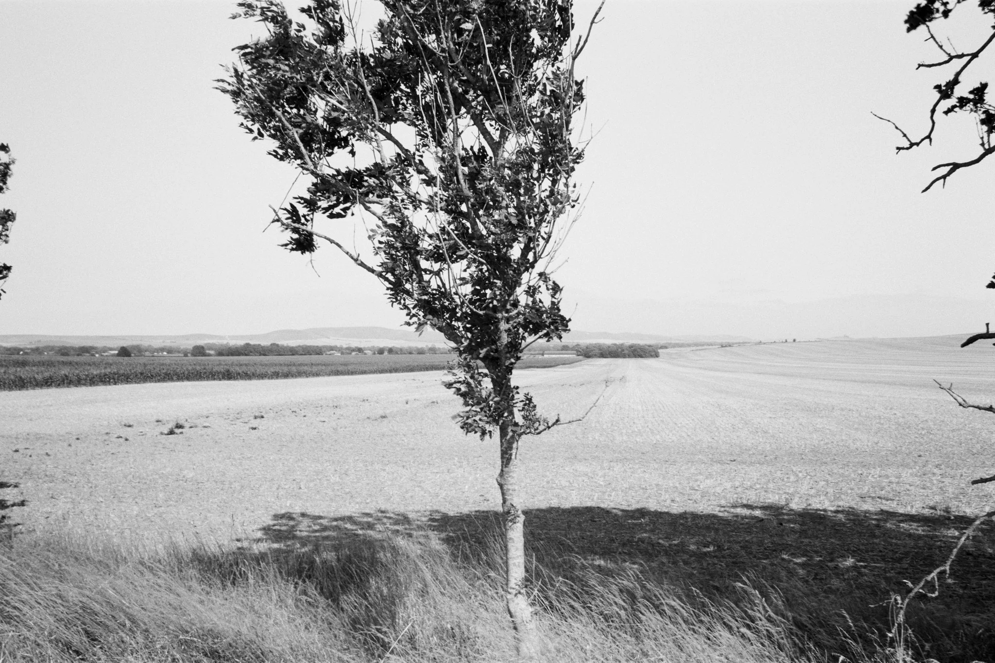 057853430025_24A.jpg
