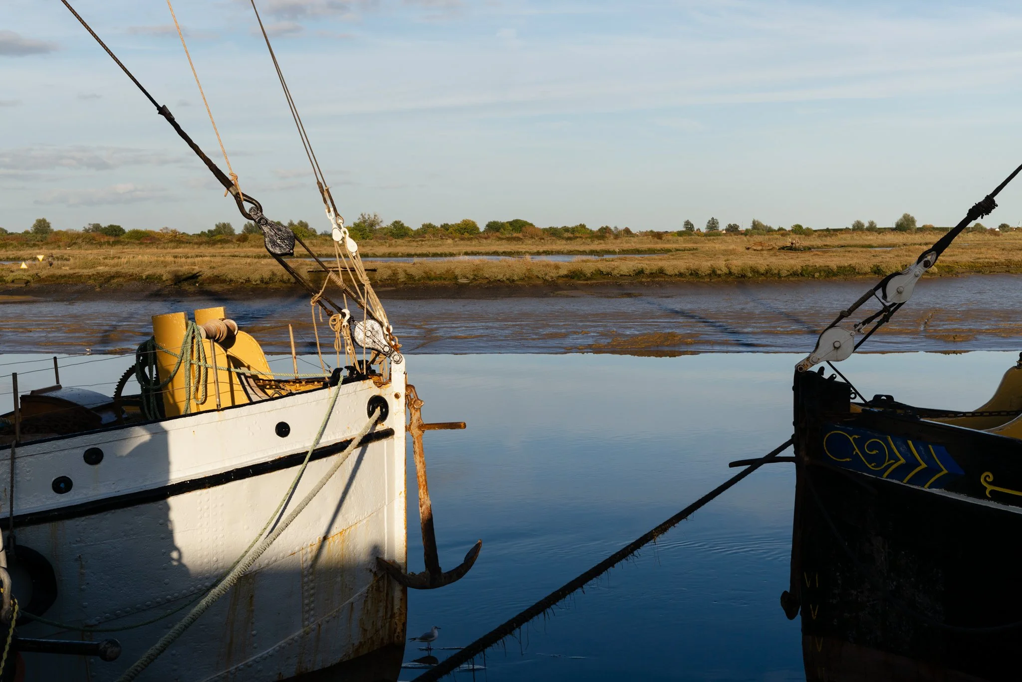 L1000699.jpg