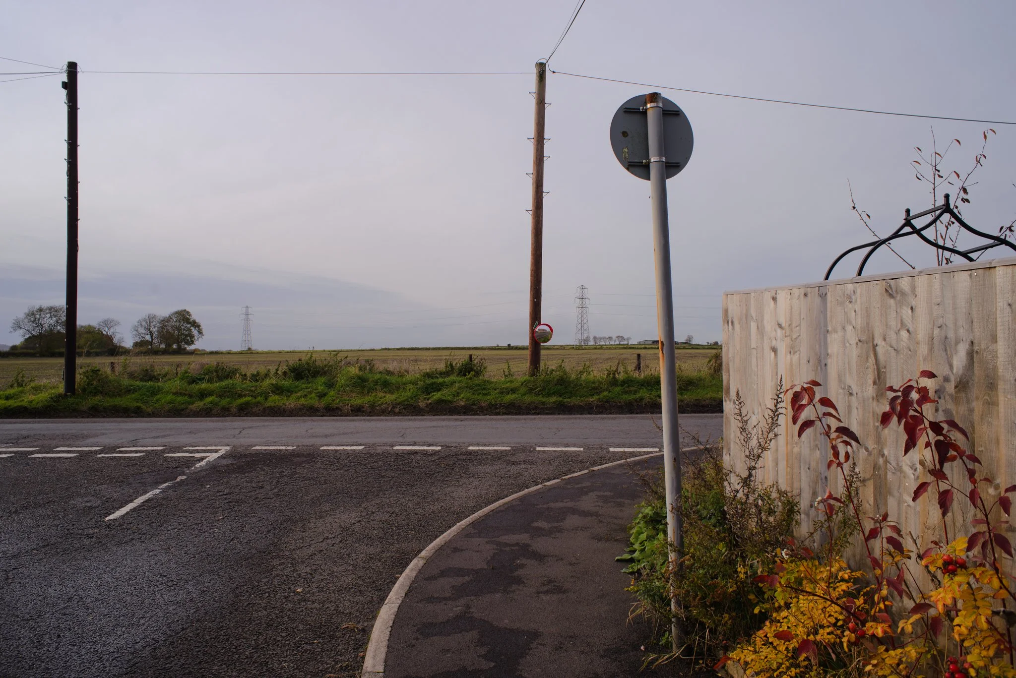 DSC_2255.jpg