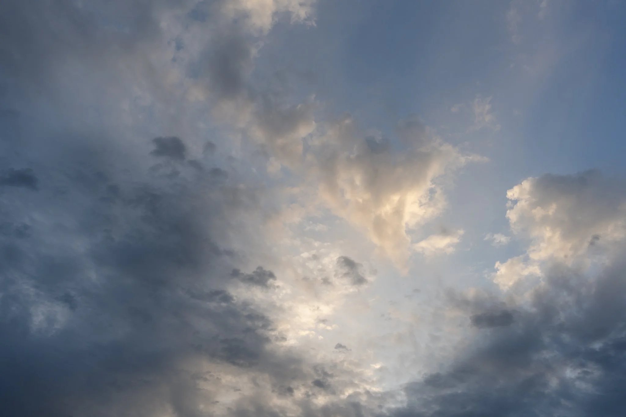 DSC01284.jpg