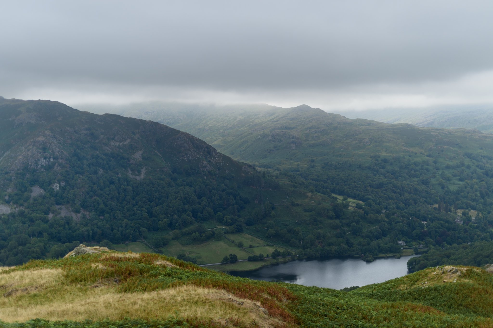 DSC_1124.jpg