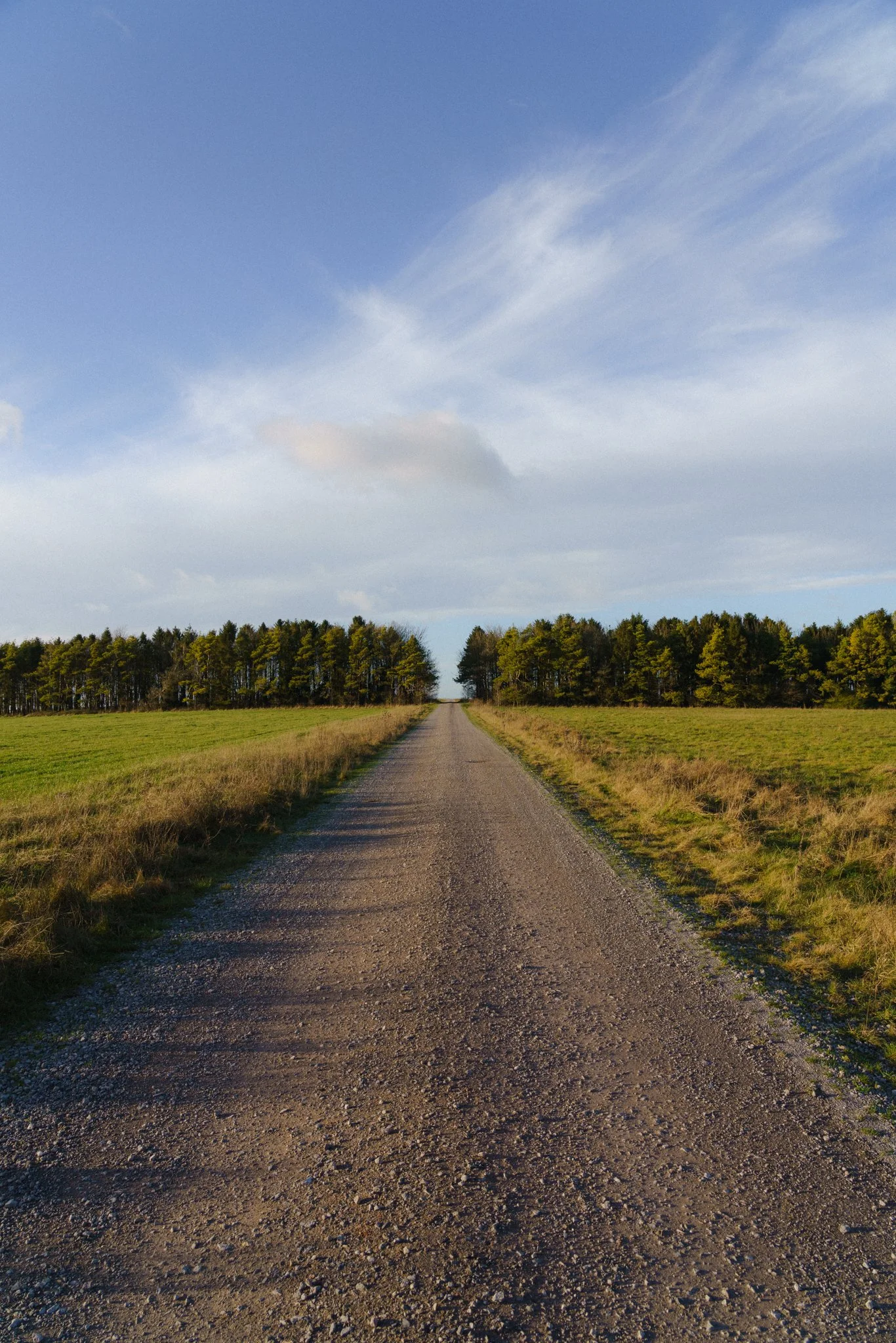 BR308849.jpg