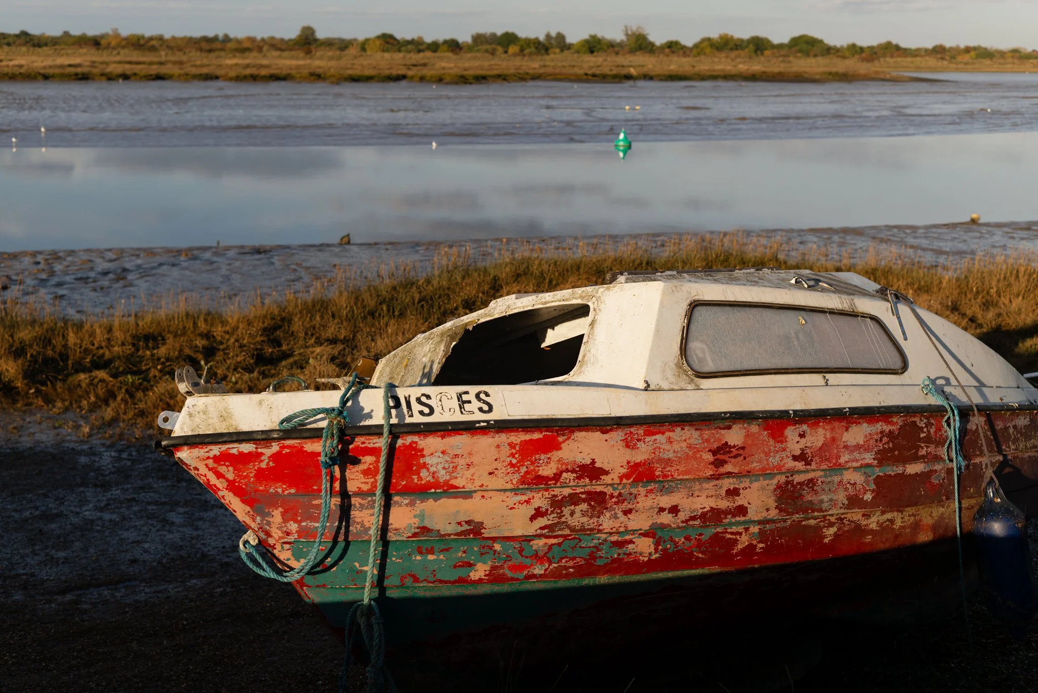 L1000701.jpg