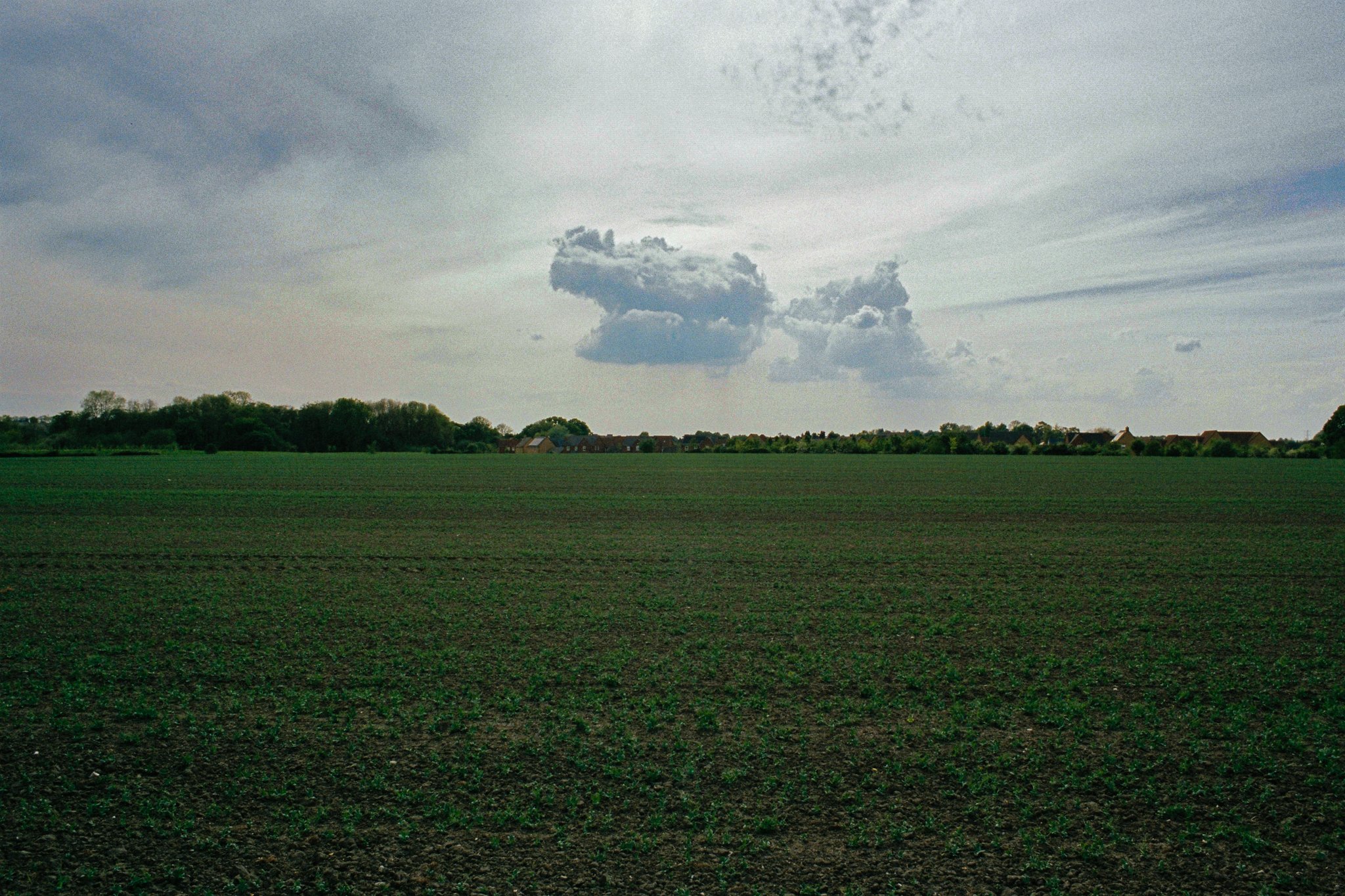 1405205-R1-27-27A.jpg