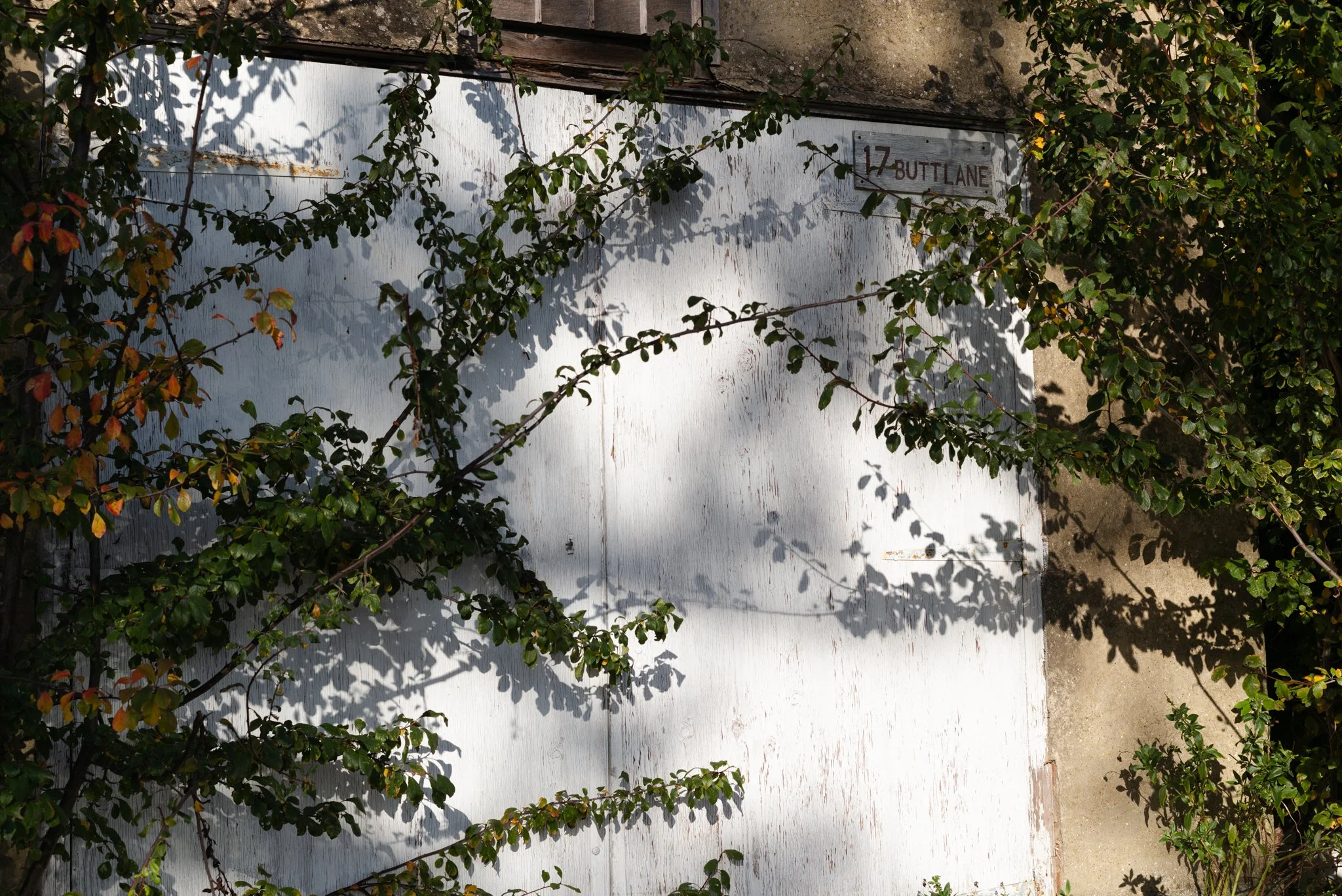 L1000596.jpg