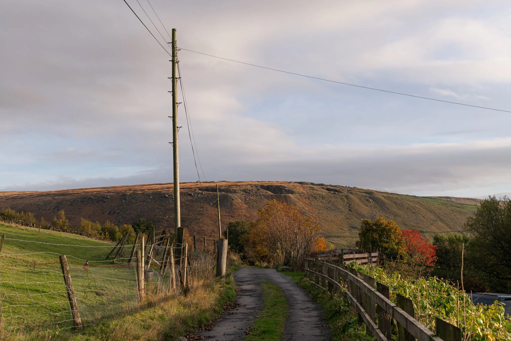 L1001235.jpg