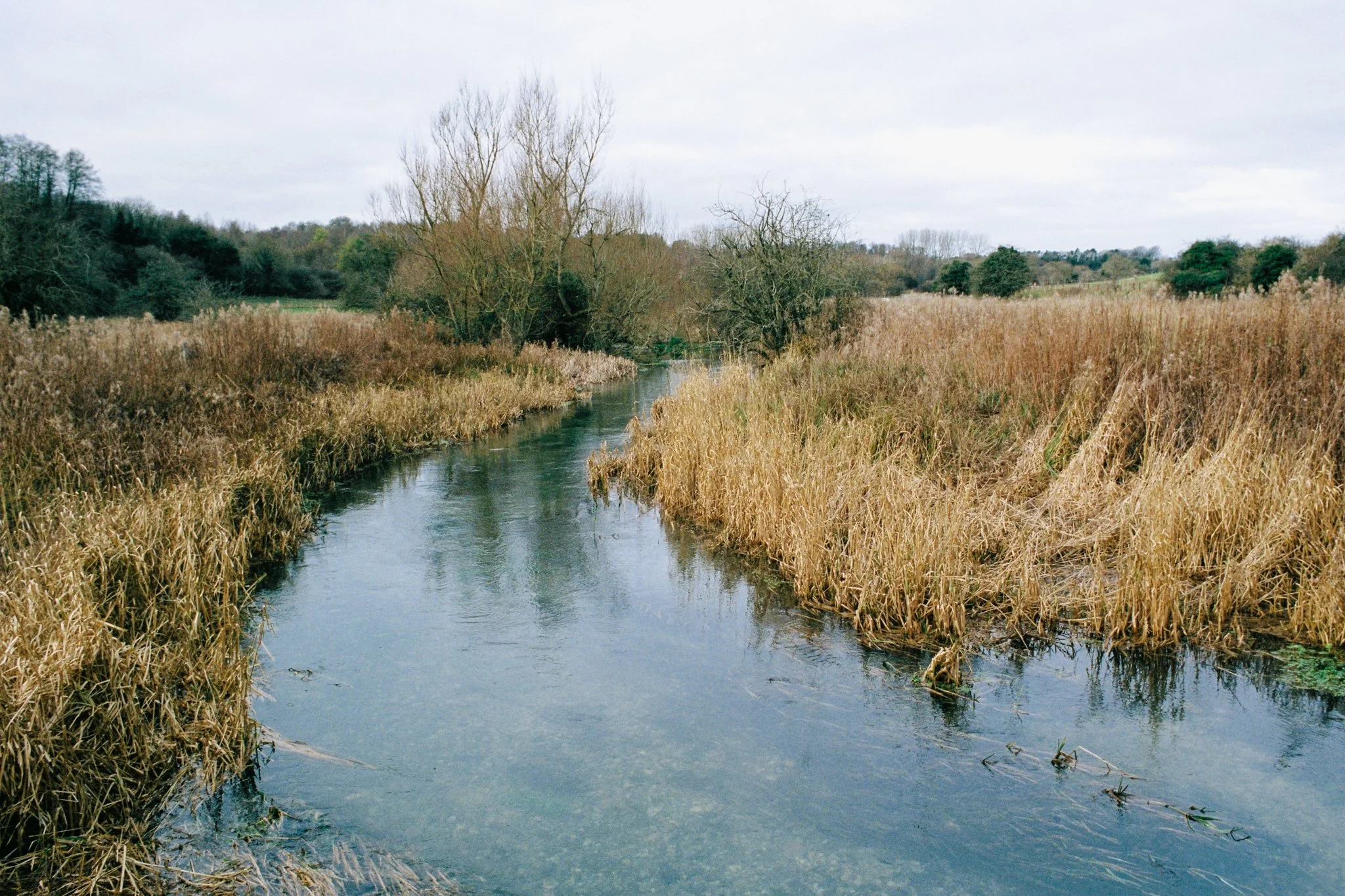 2101893-R1-03-3A.jpg