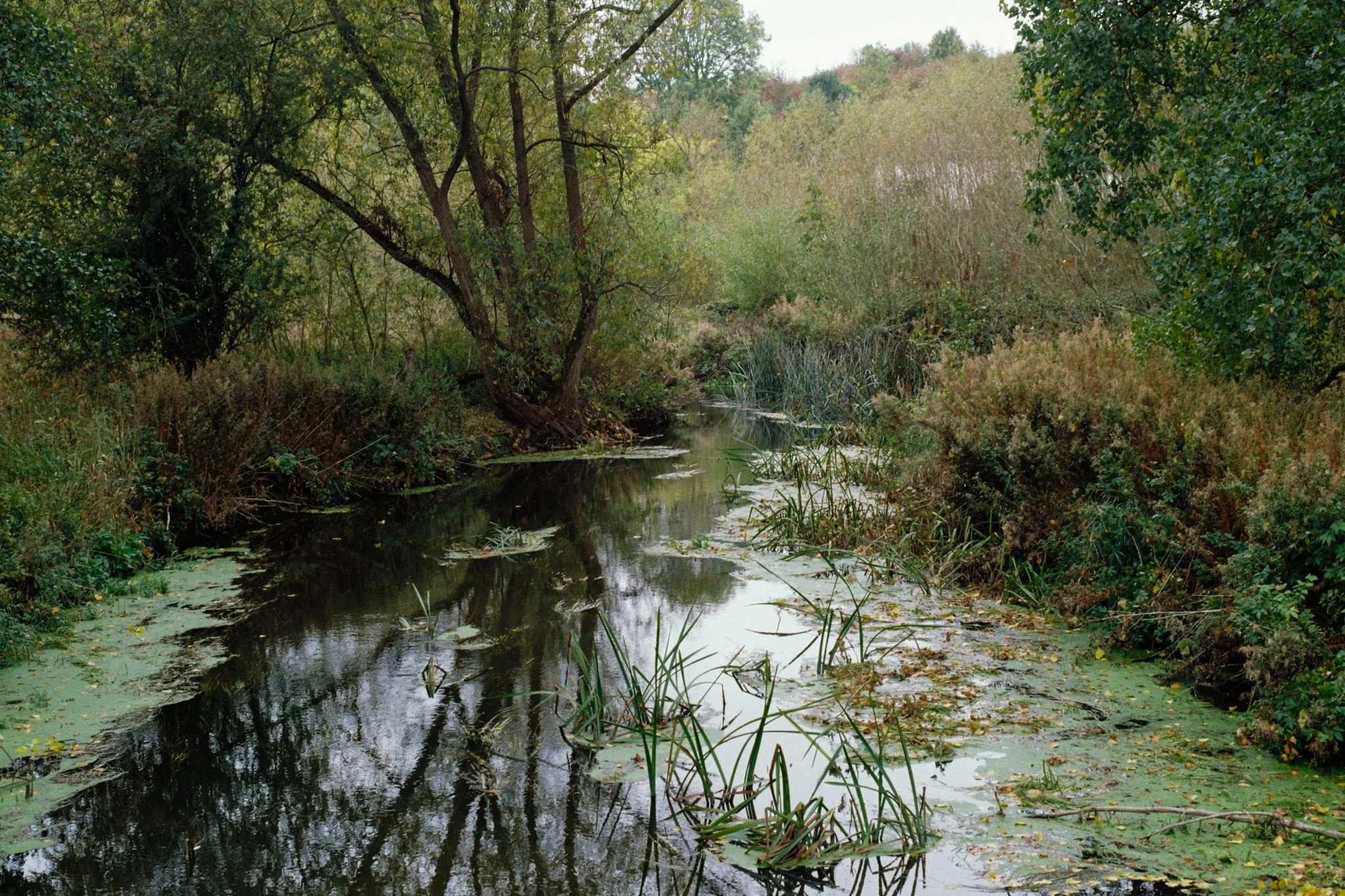 R1-22.jpg