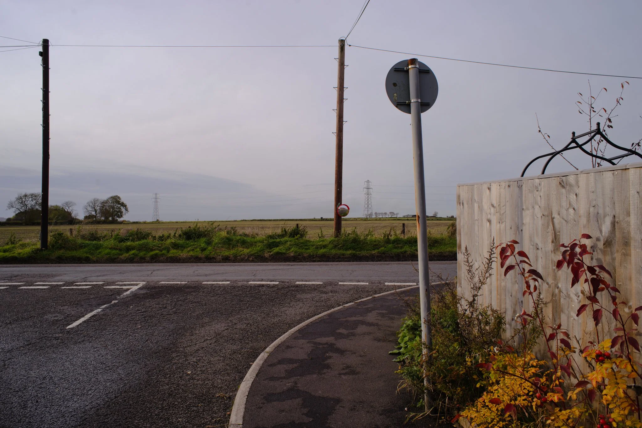 DSC_2255.jpg