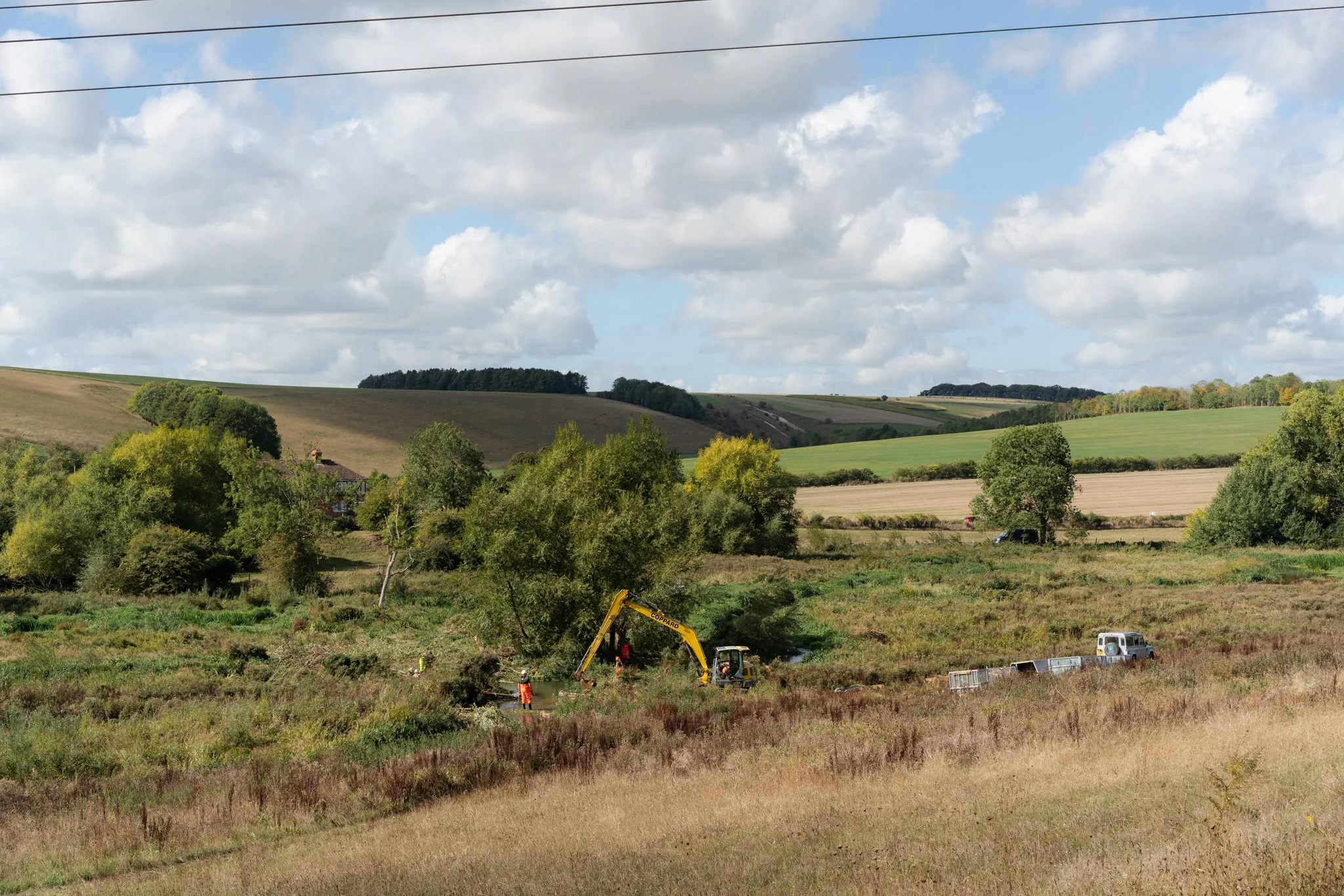 DSC02975.jpg
