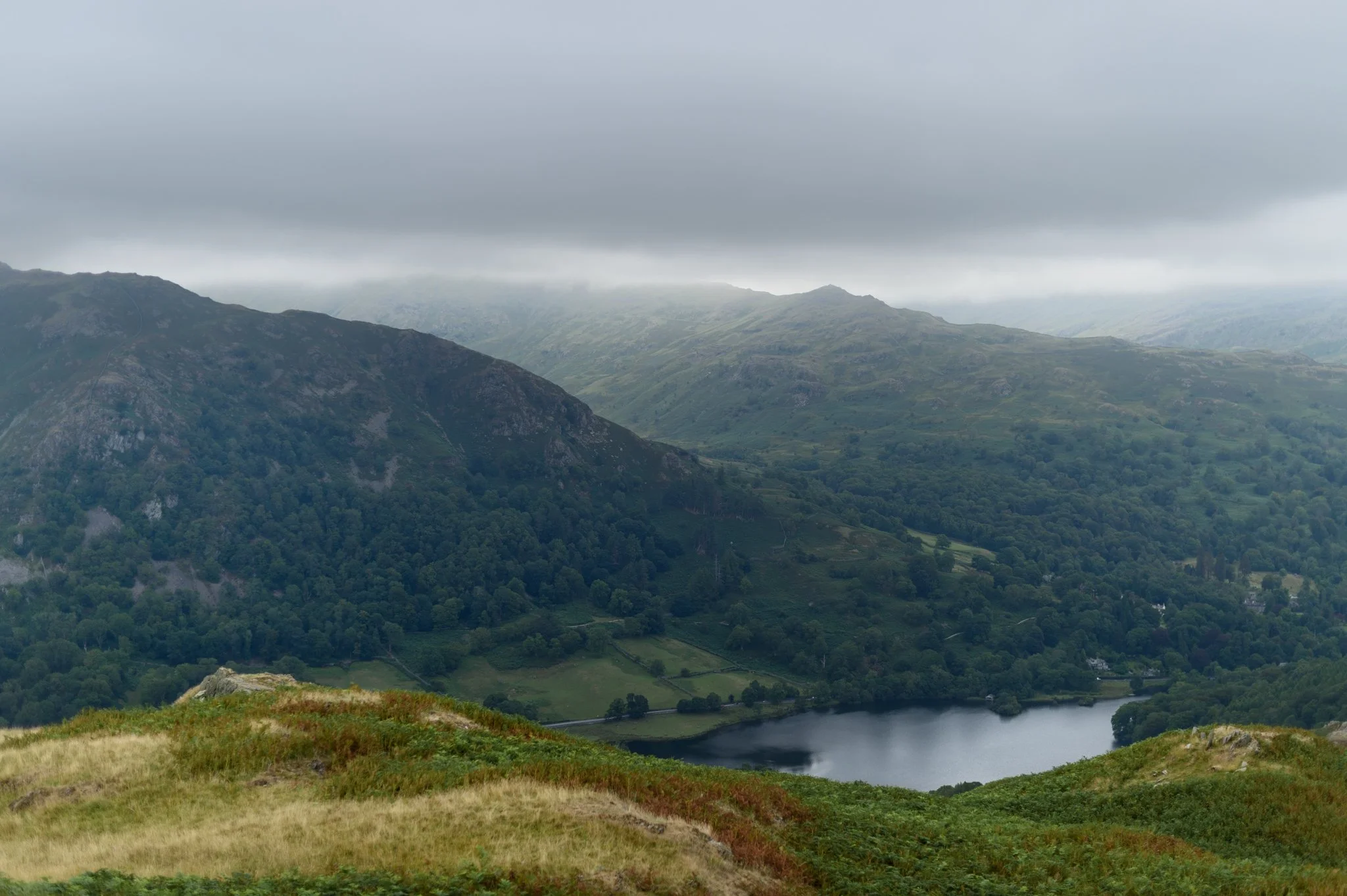 DSC_1124.jpg