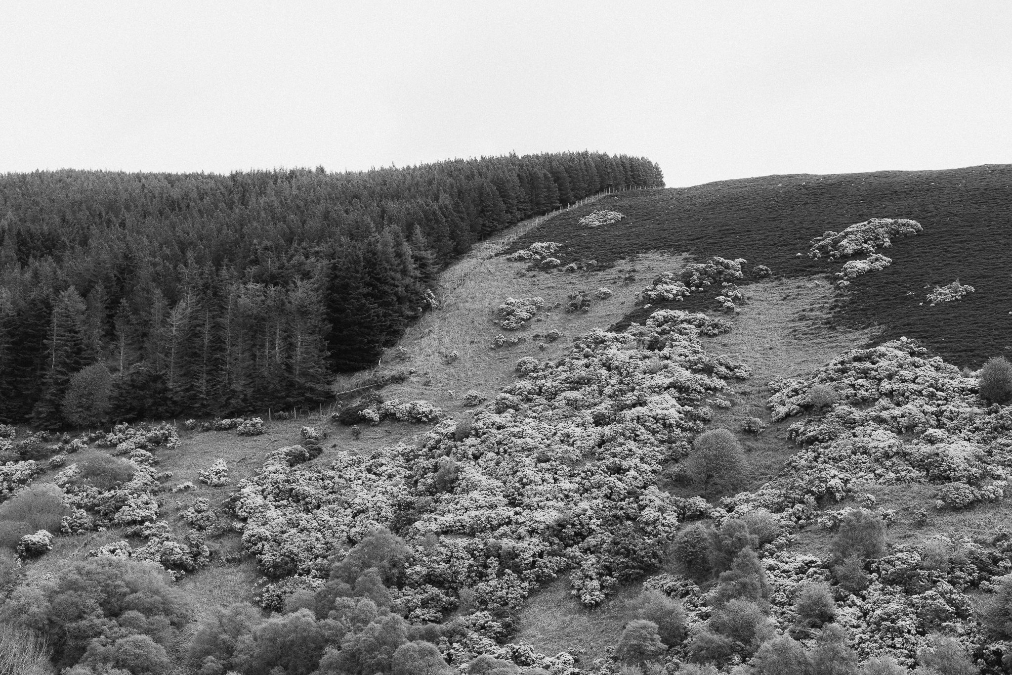 3F4A7161-2.jpg