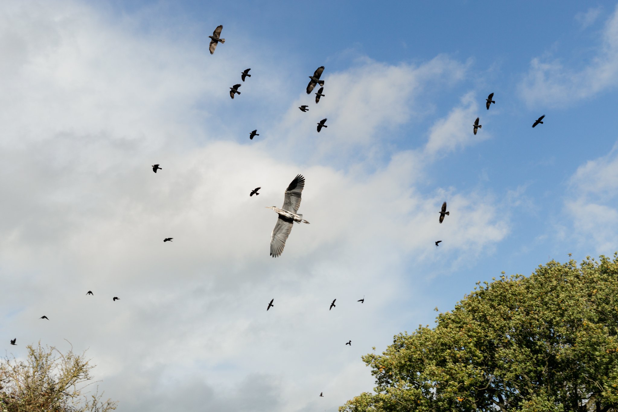 L1001640-Edit-Edit.jpg