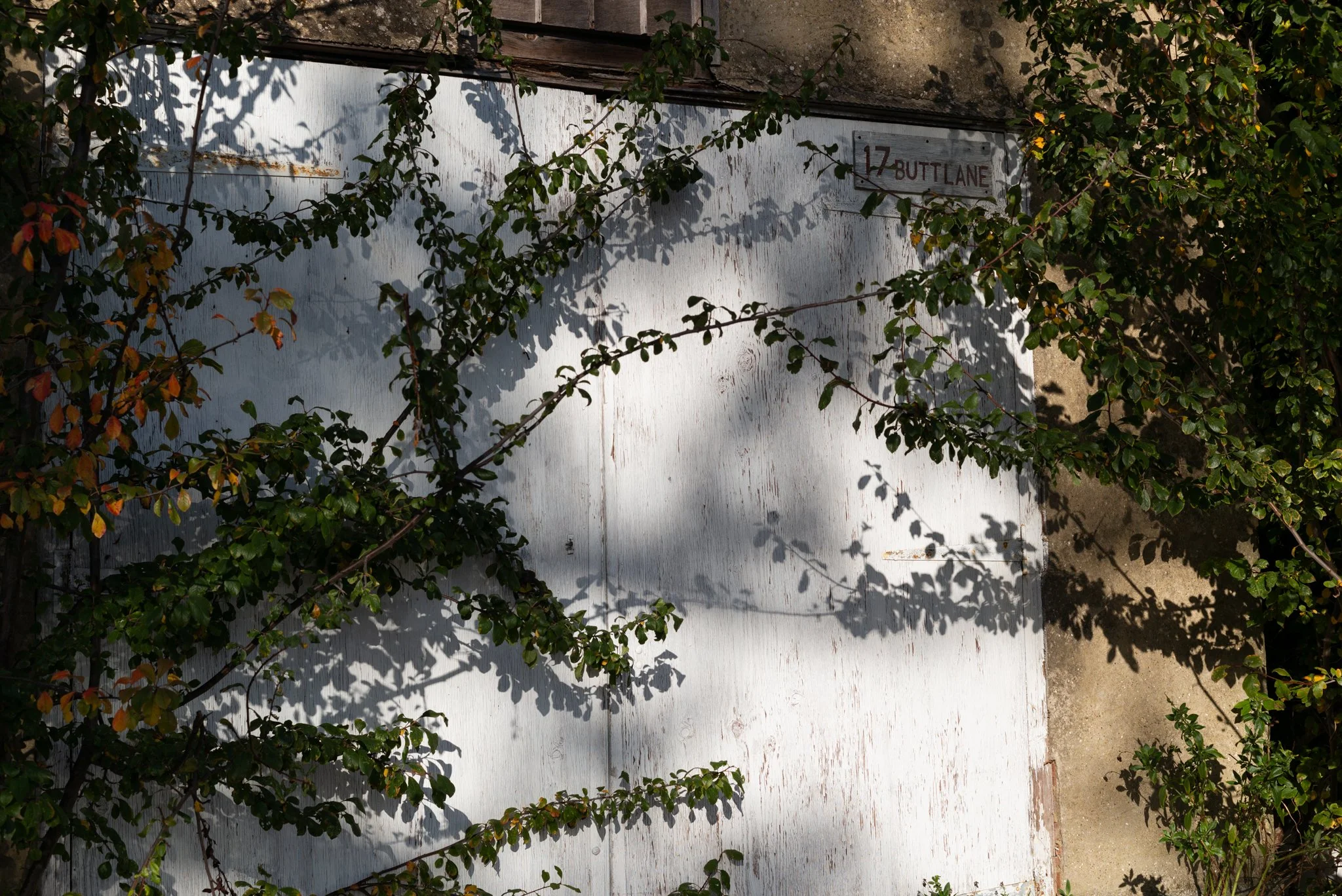 L1000596.jpg
