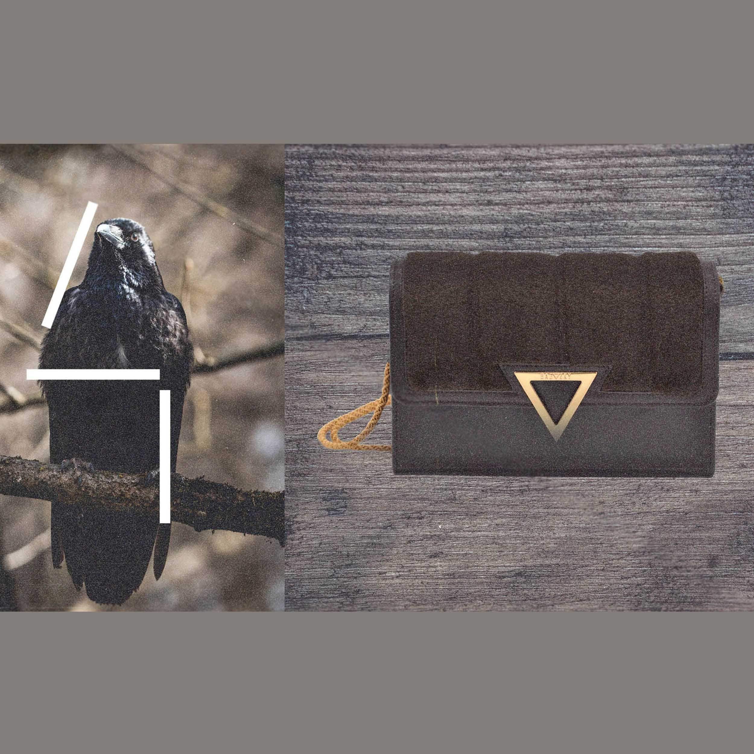 Foresta Mood Picture. Raven sitting on a tree, dark brown purse next to it.