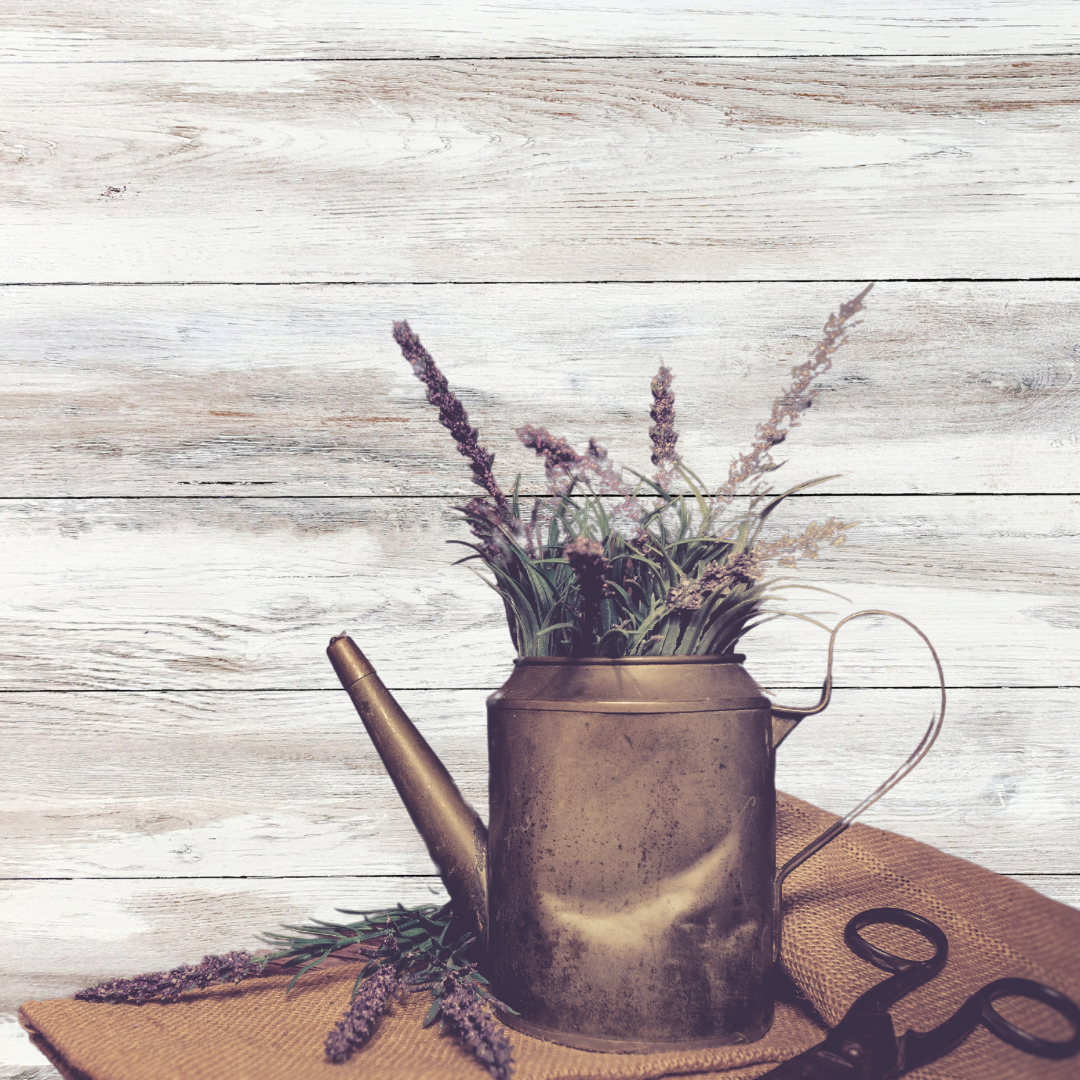 Plant Parenting 101:                     A Beginner’s Guide to Thriving Indoor Plants