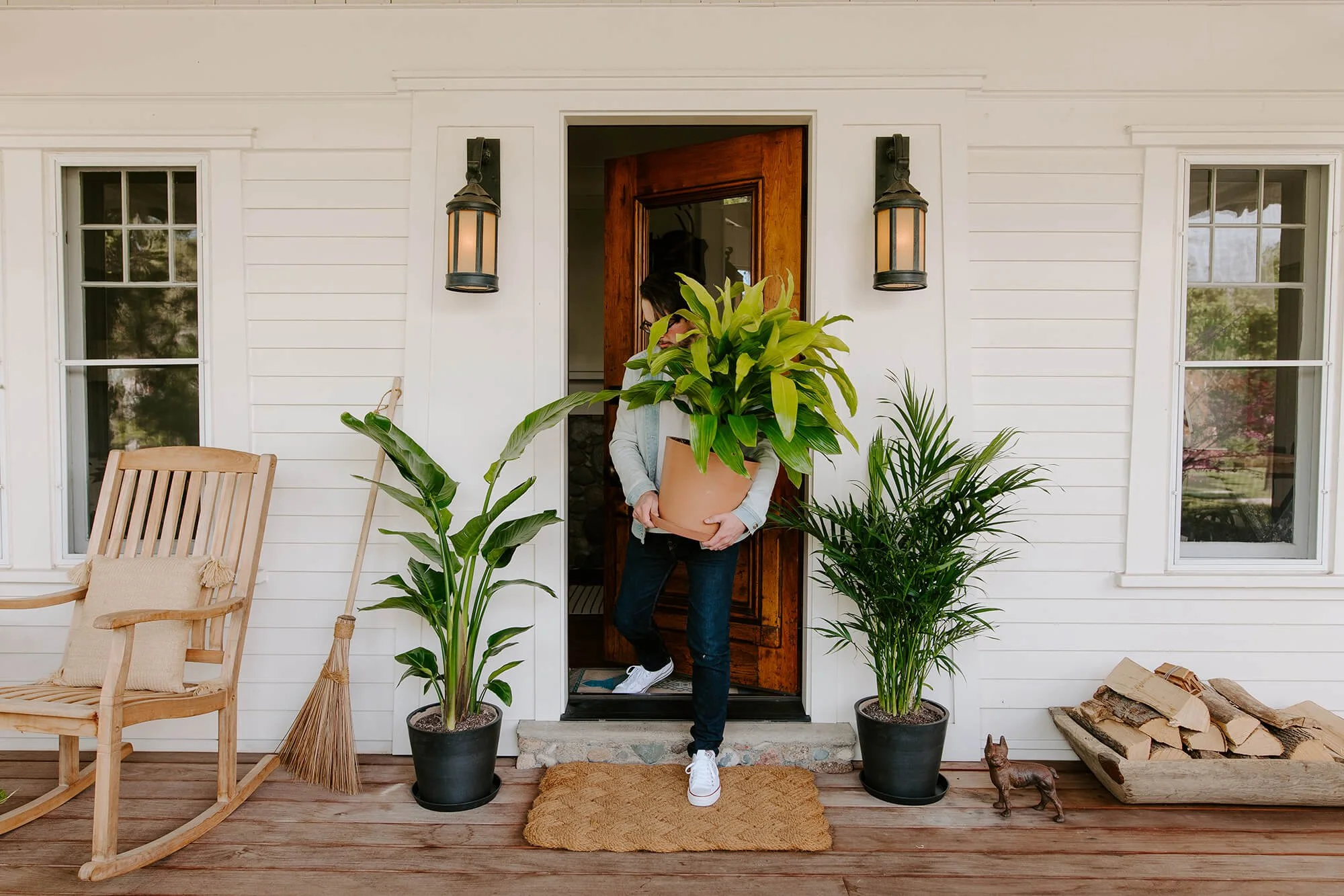 How to Transition Your Indoor Plants for Summer Outdoors