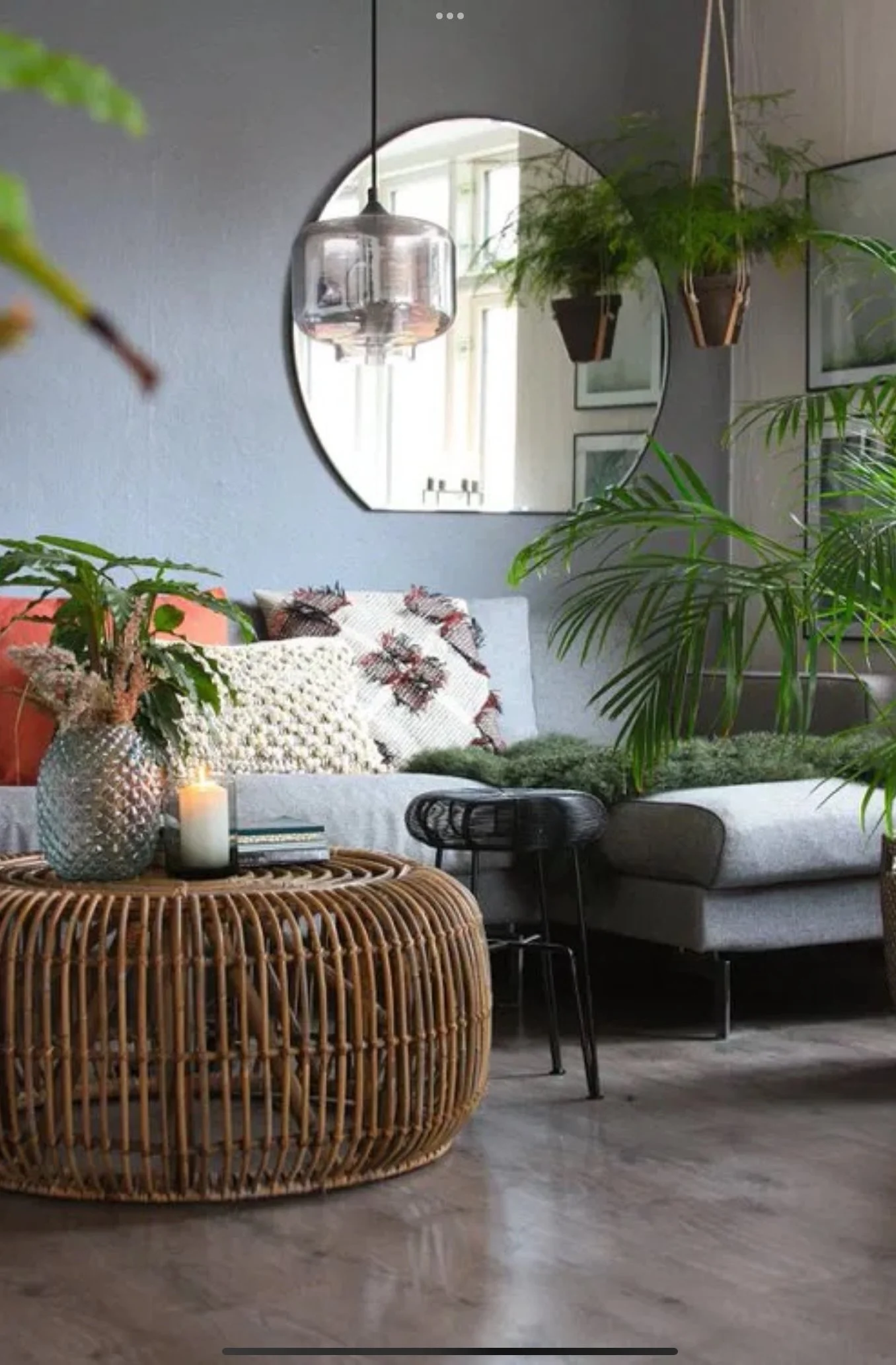 Reworking Your Plant Care Habits for the Fall Season