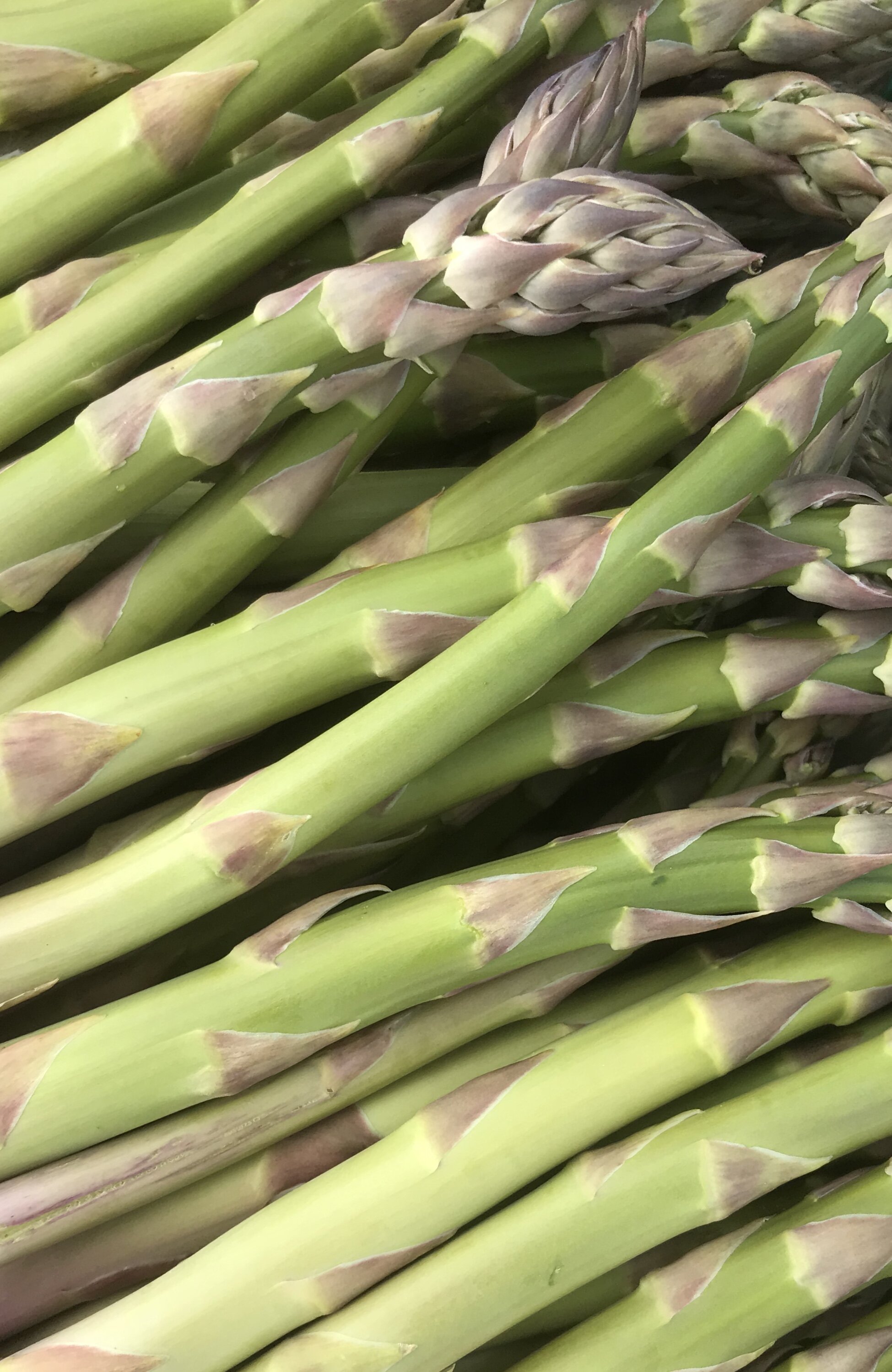 ASPARAGUS (3).jpg