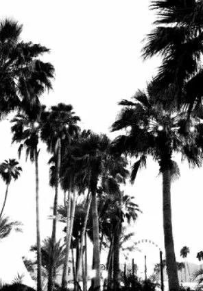 take back california