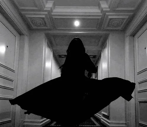 dark horse.