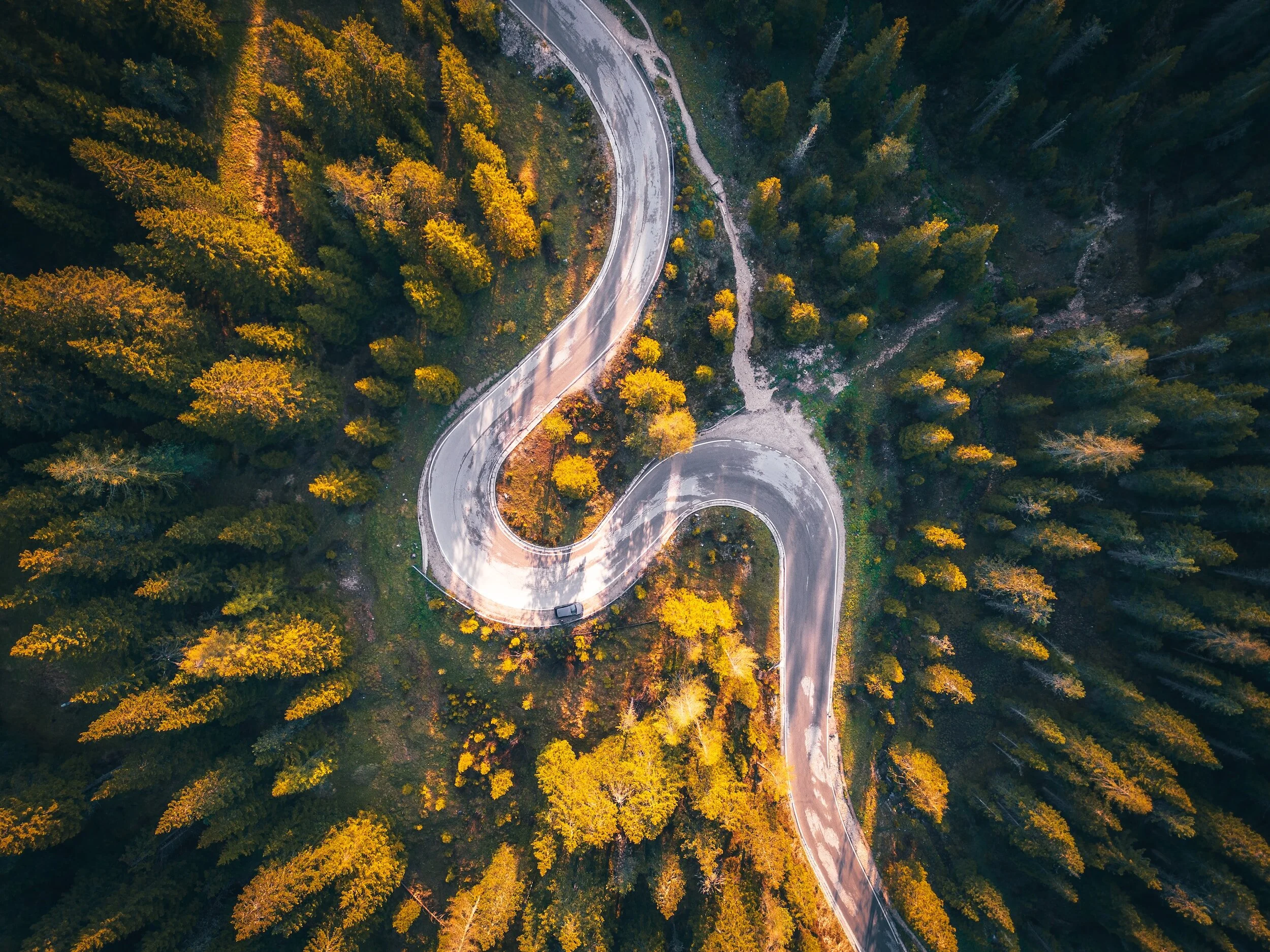 Revolutionising the Grant Making process with Salesforce