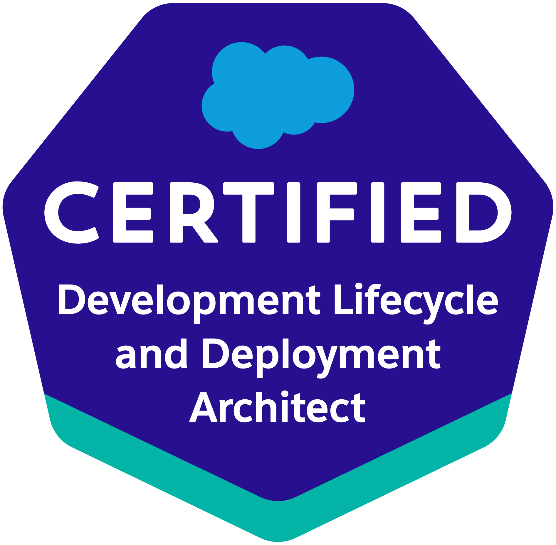 Salesforce Managed Services Partner - Certified Development Lifecycle and Deploy Architect