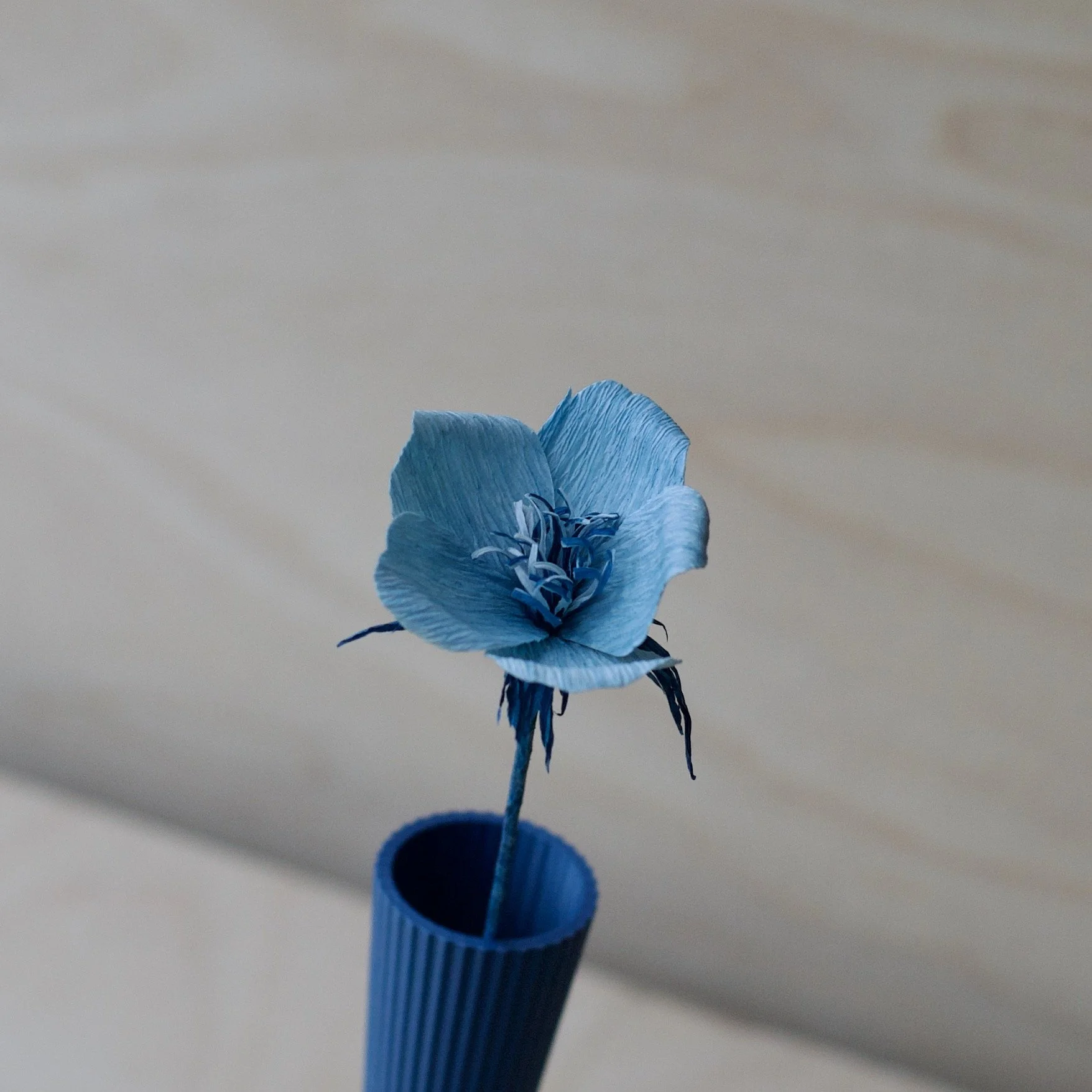 KT 31 Lavender  flower close up - 1.jpeg