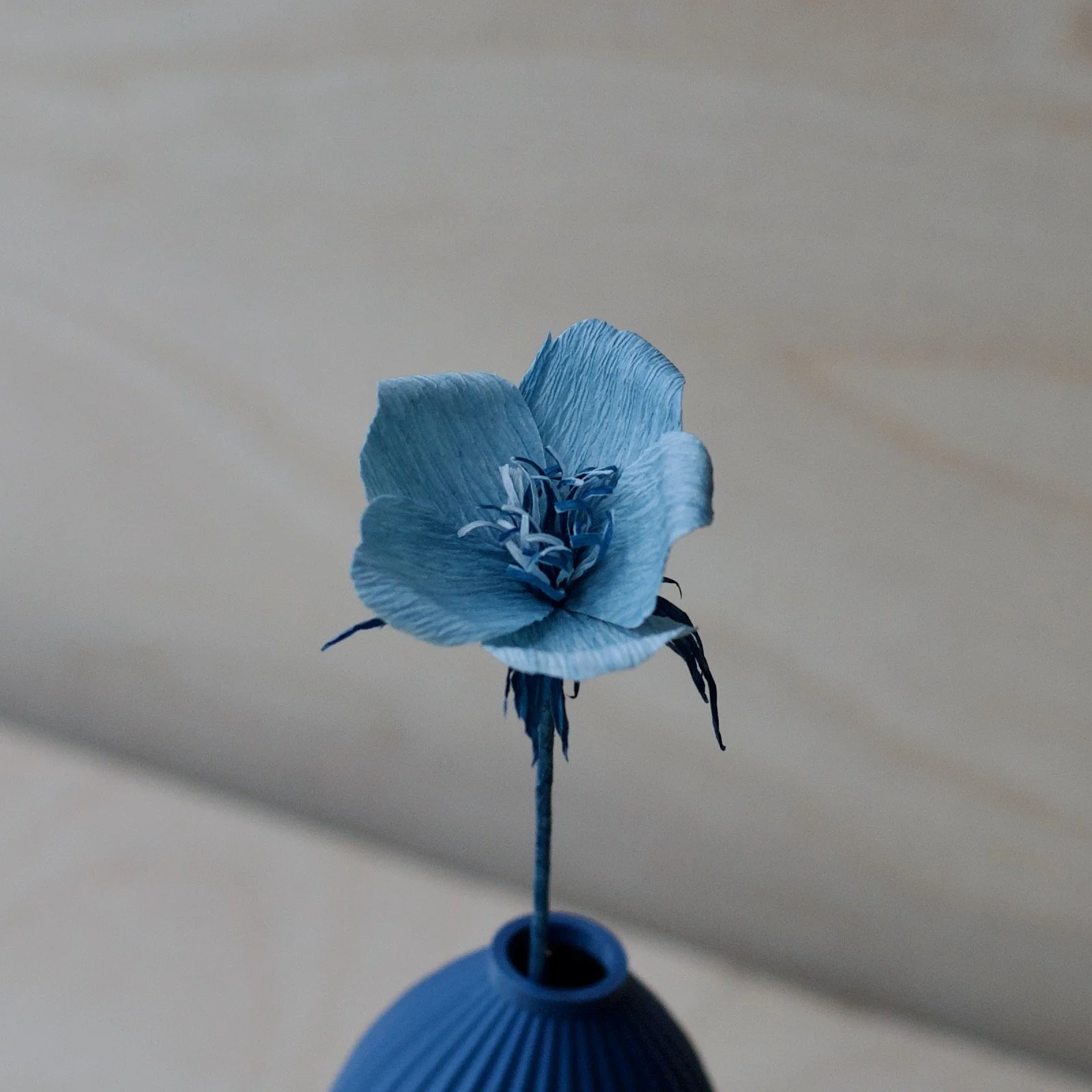 KT 60 Lavender  flower close up - 1.jpeg