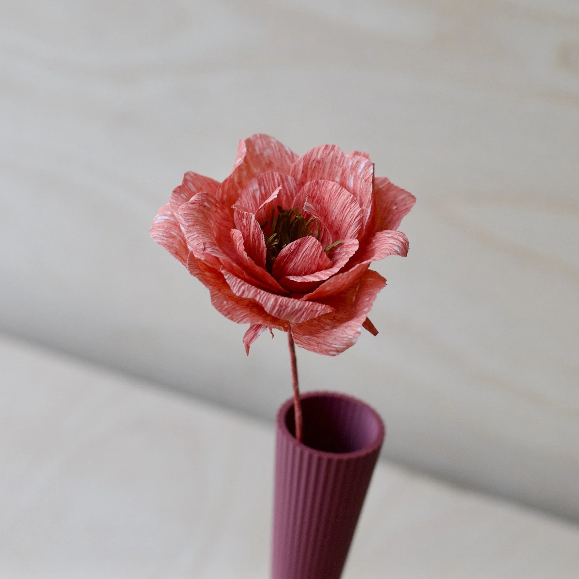 KT 31 Plum  flower close up - 1.jpeg