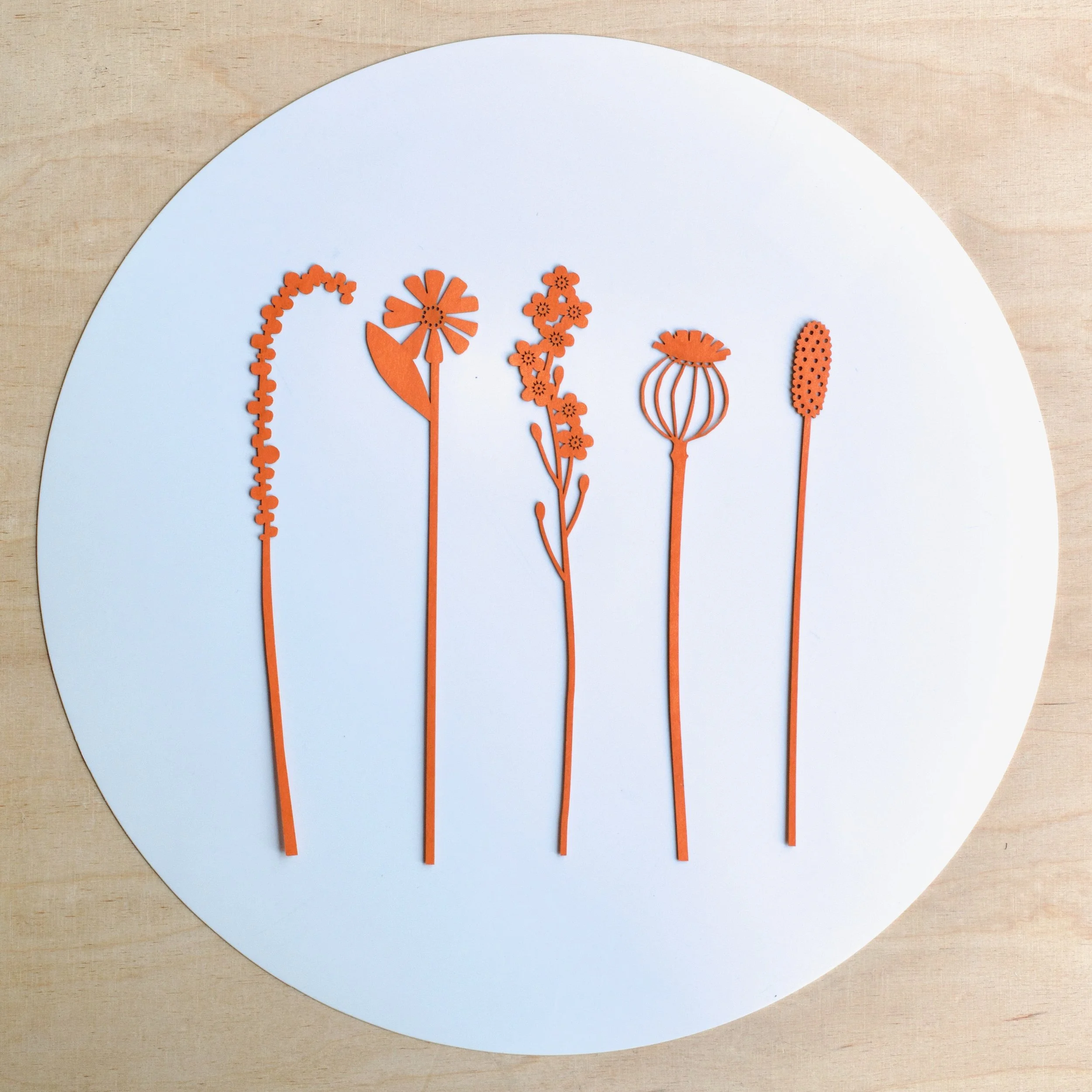 orange stems layed out sq - 1.jpeg