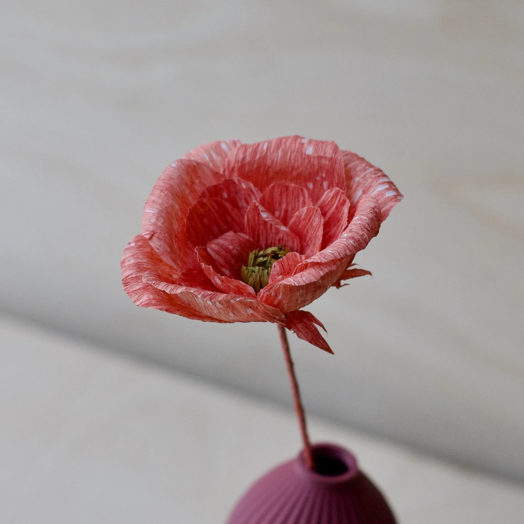 KT 60 Plum  flower close up - 1.jpeg