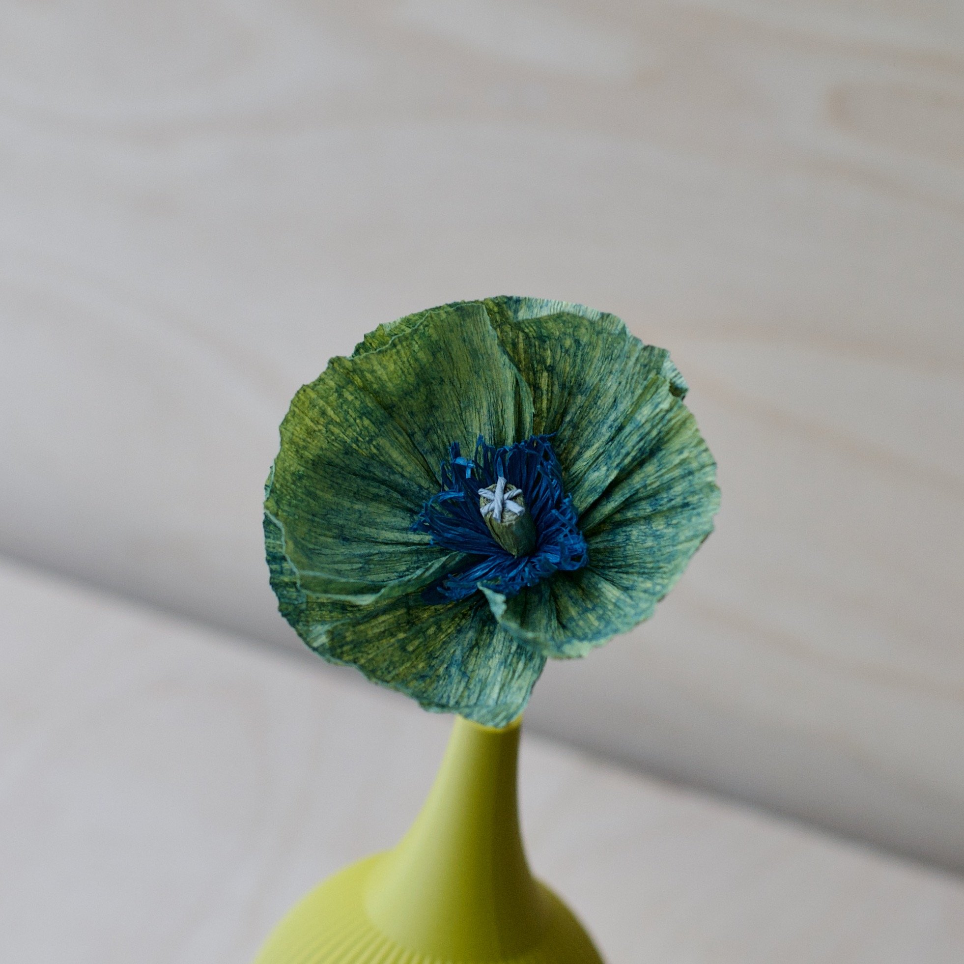 KT 43 Olive flower close up - 1.jpeg