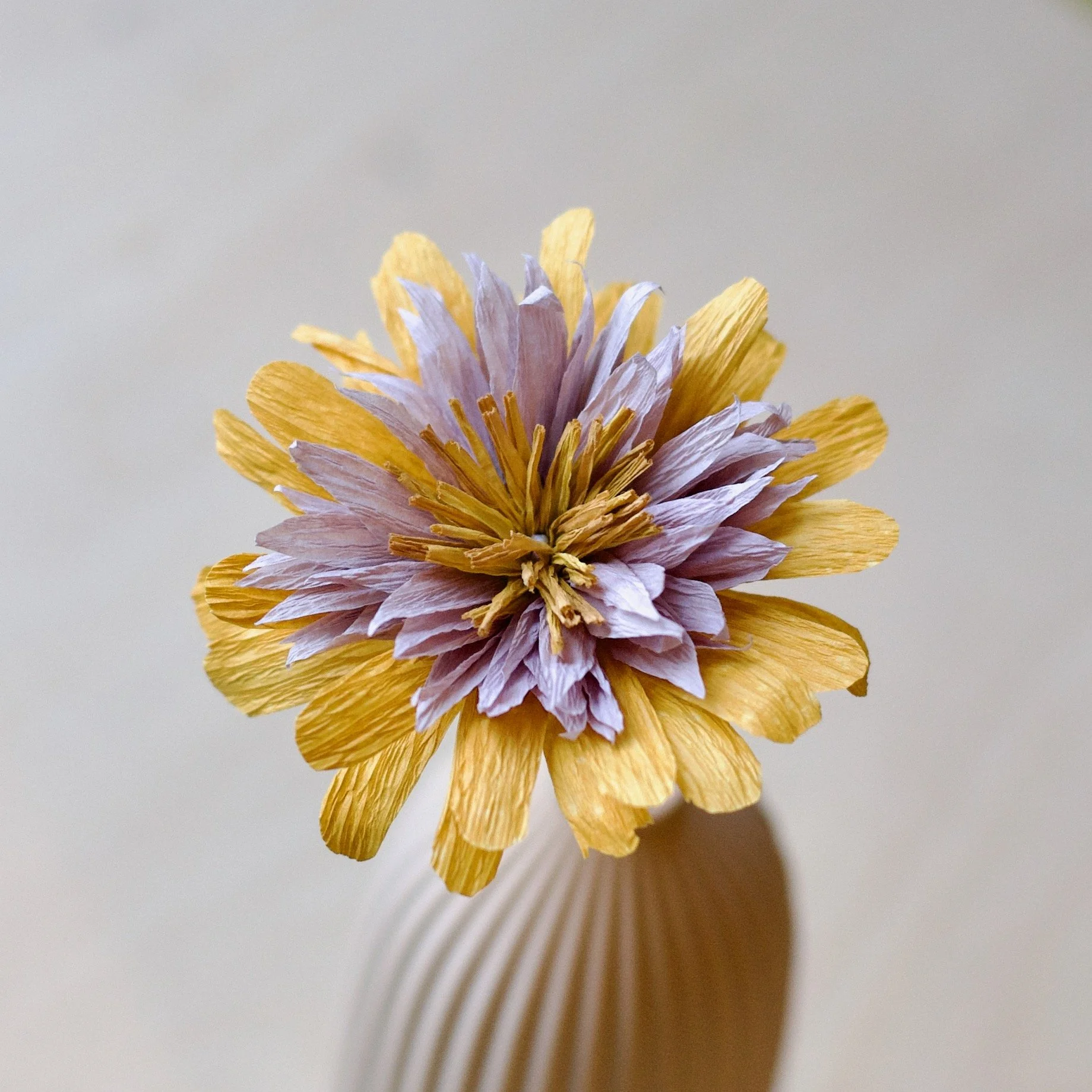 KT 60 peanut  with flower HEAD - 1.jpeg