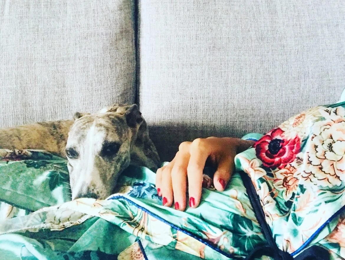 Tv&aring; in. L&aring;ngt ut = Den fysiologiska sucken!
N&auml;r vi &auml;r stressade f&ouml;rs&ouml;ker vi ofta &rdquo;andas lugnt&rdquo;. Men kroppen  har redan ett eget s&auml;tt att reglera nervsystemet. Du andas in genom n&auml;san, p&aring; top