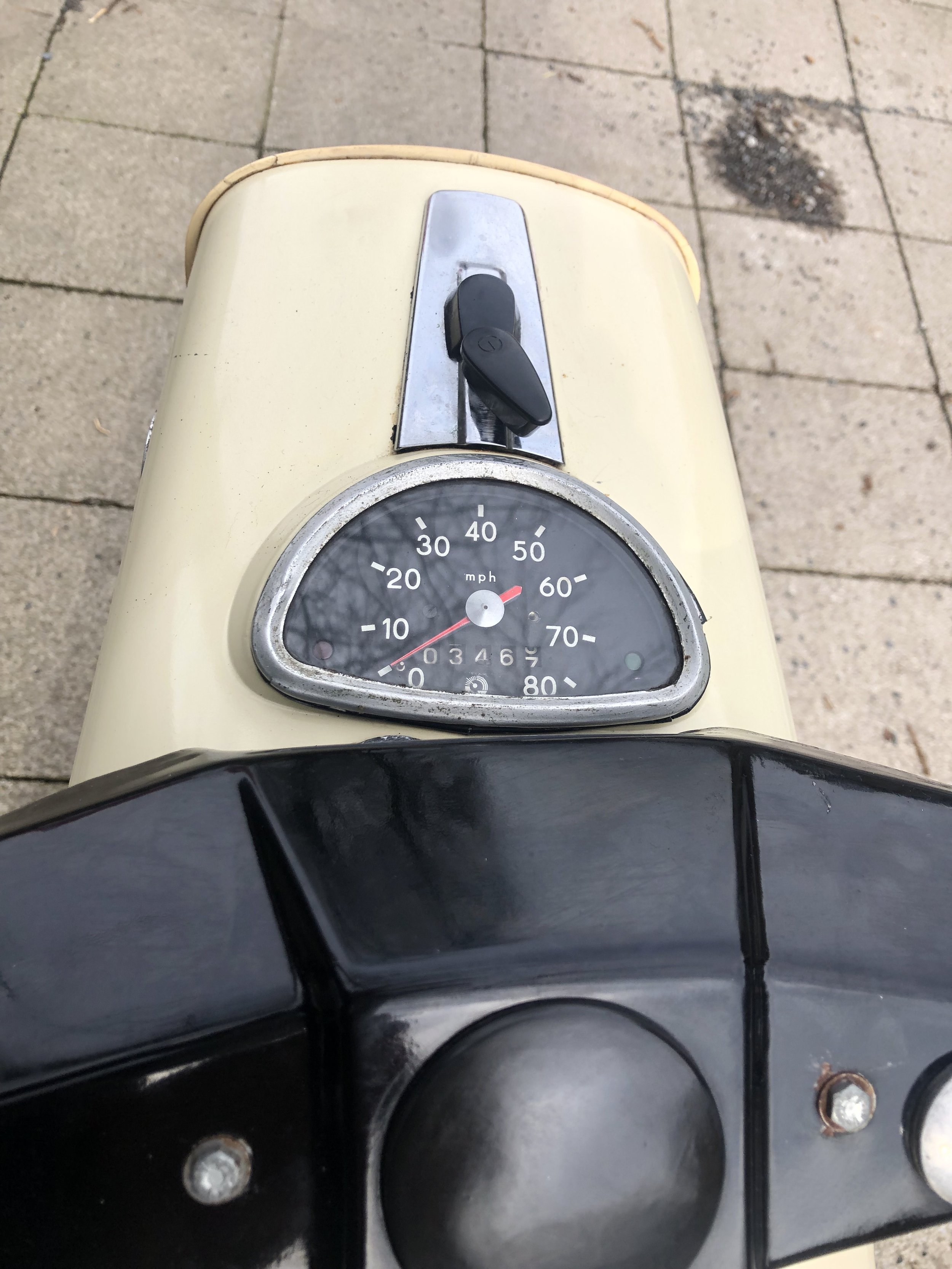 IMG_8461.jpeg
