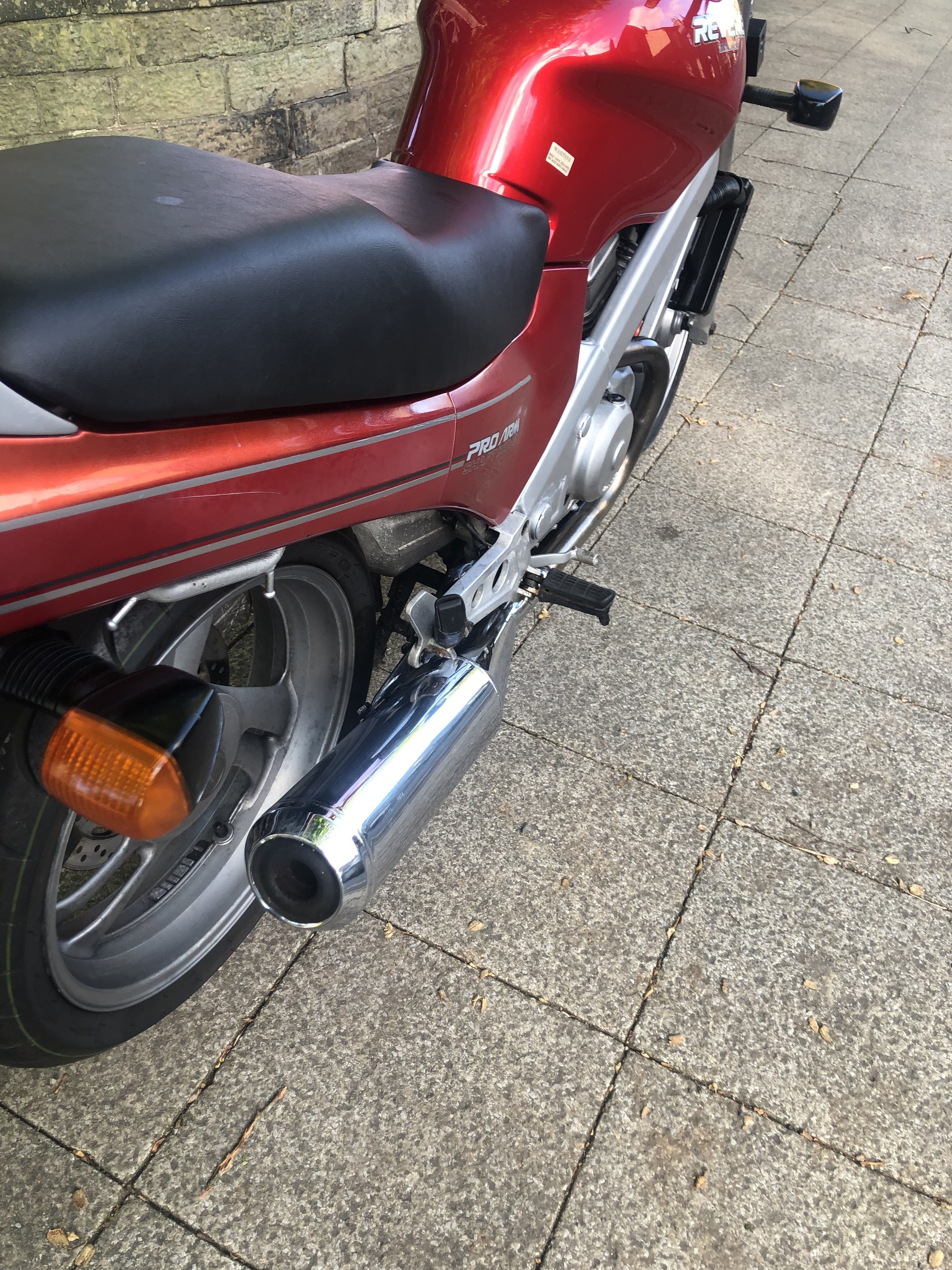 IMG_1464.jpeg