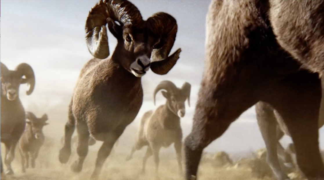 Ram Trucks | Flux