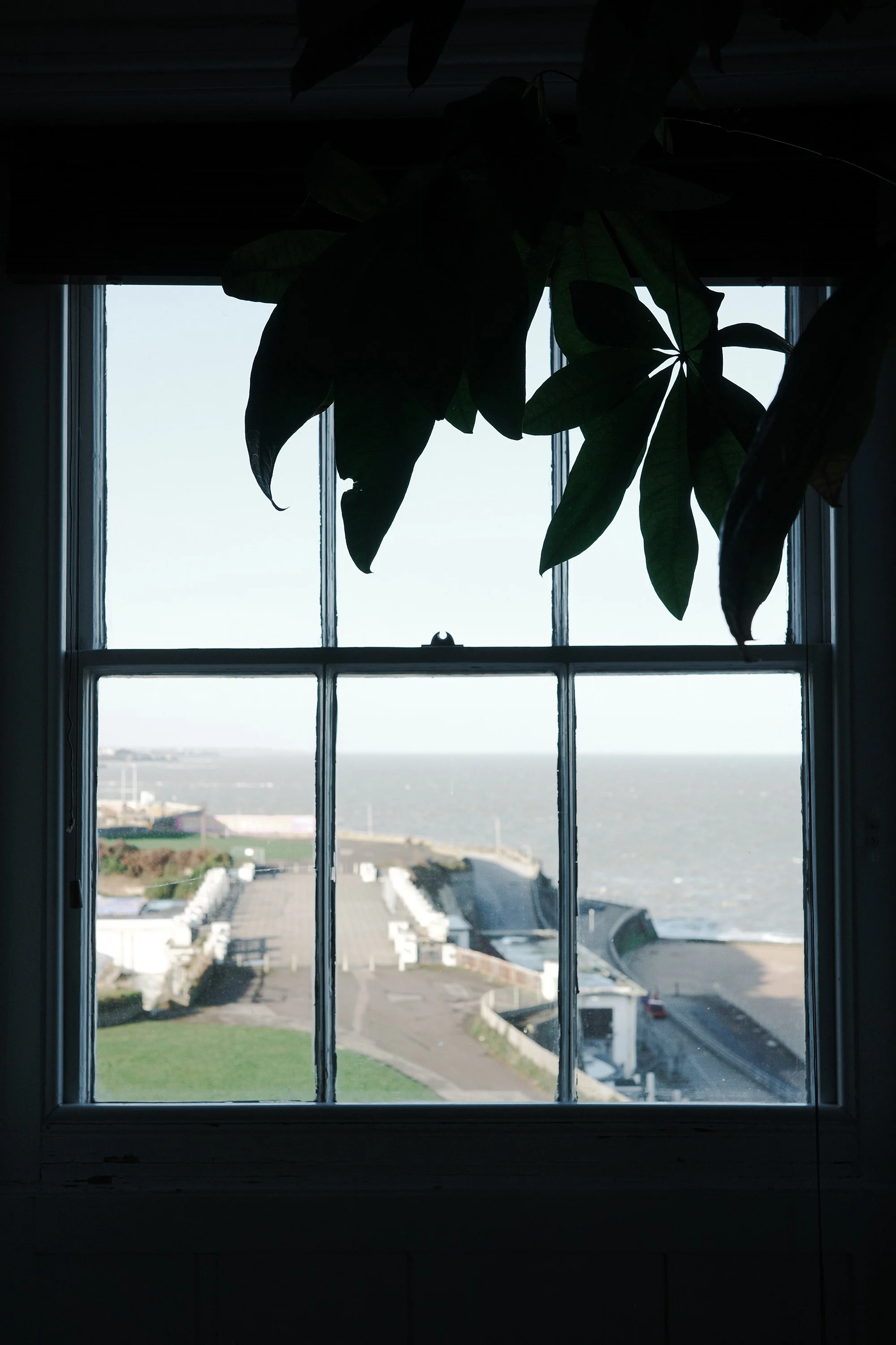 Margate Window 2-0008135.jpg