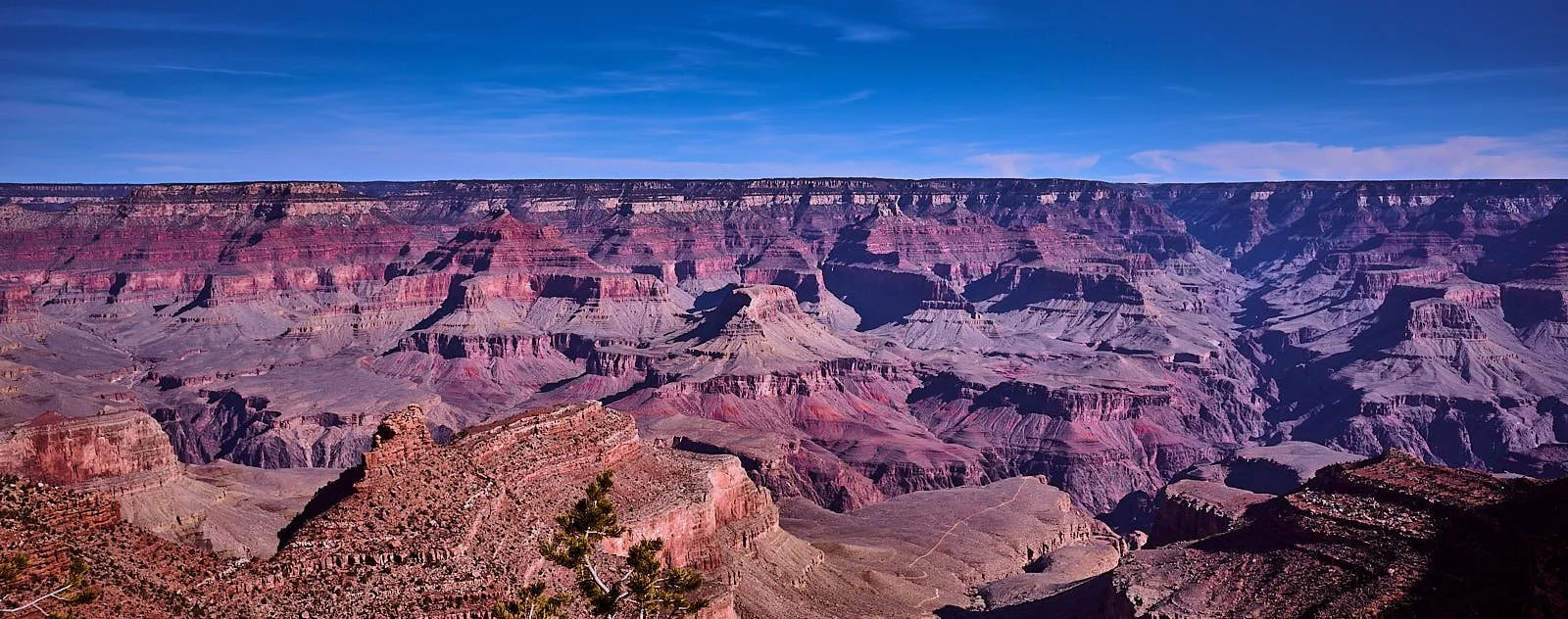 _DSC3142.jpg