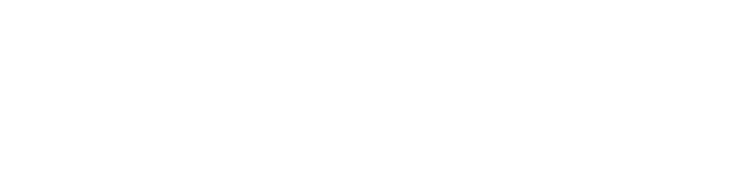 SouthLanLabour