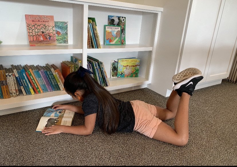 image_6487327 (3).JPG