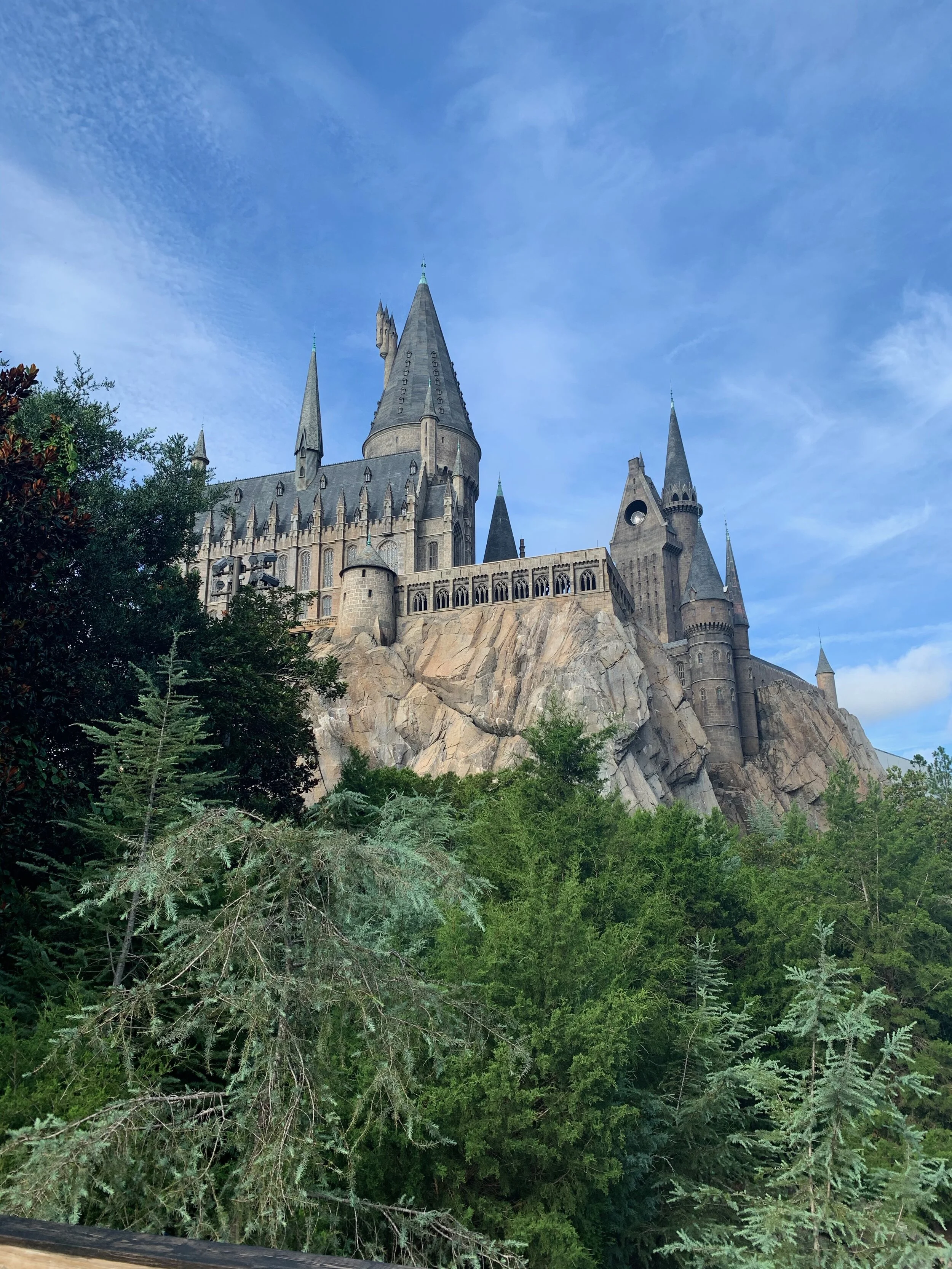 IMG_5226.jpeg