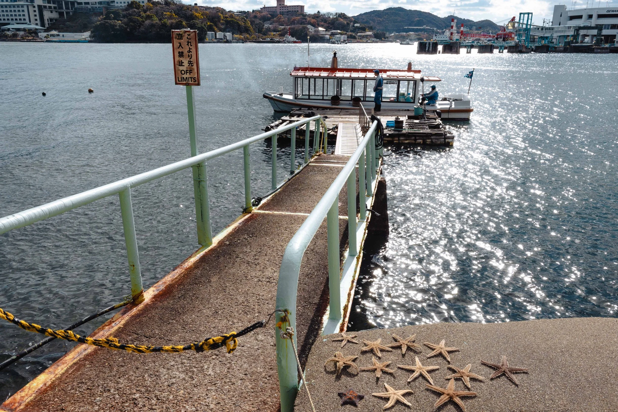 boat in the water and starfishes drying in the sun