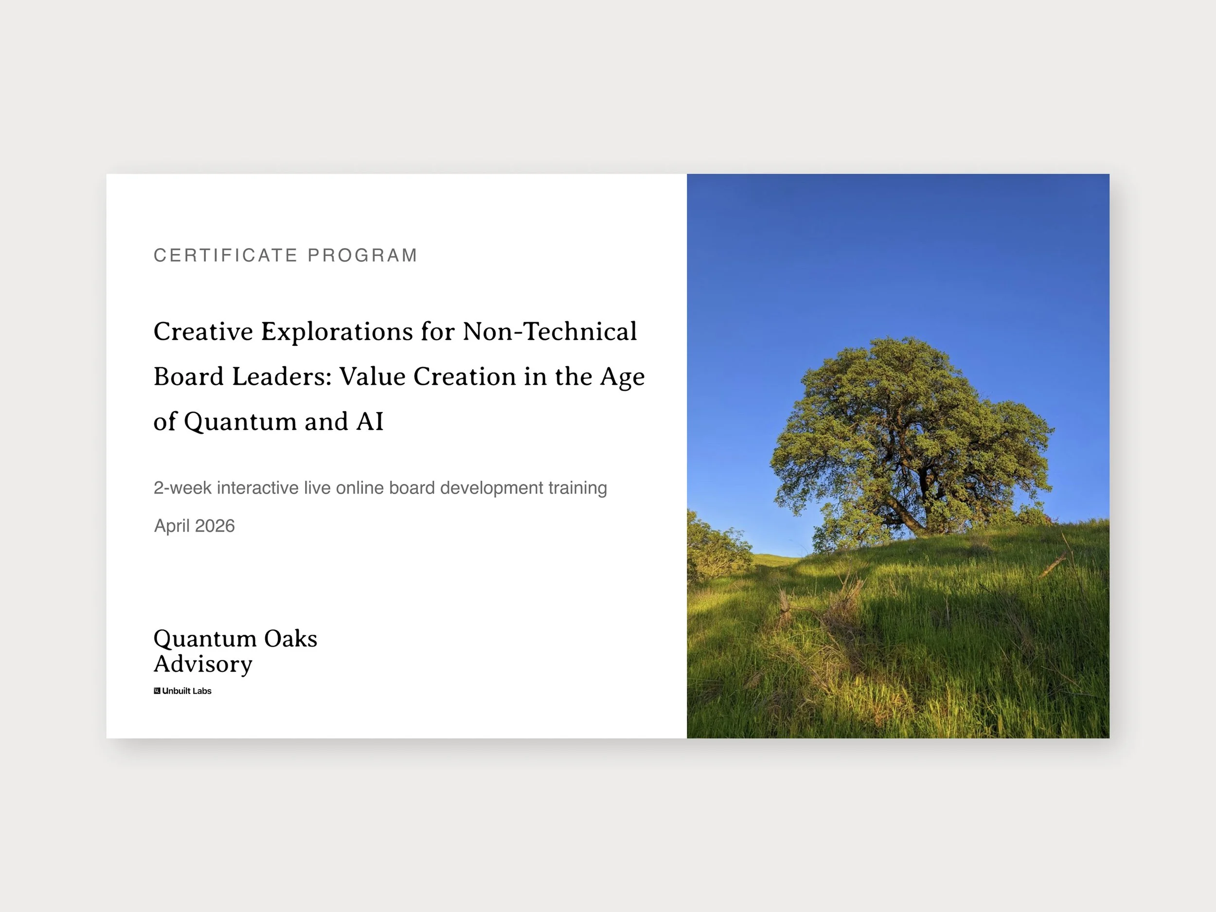 Creative Explorations in Quantum 1.jpg