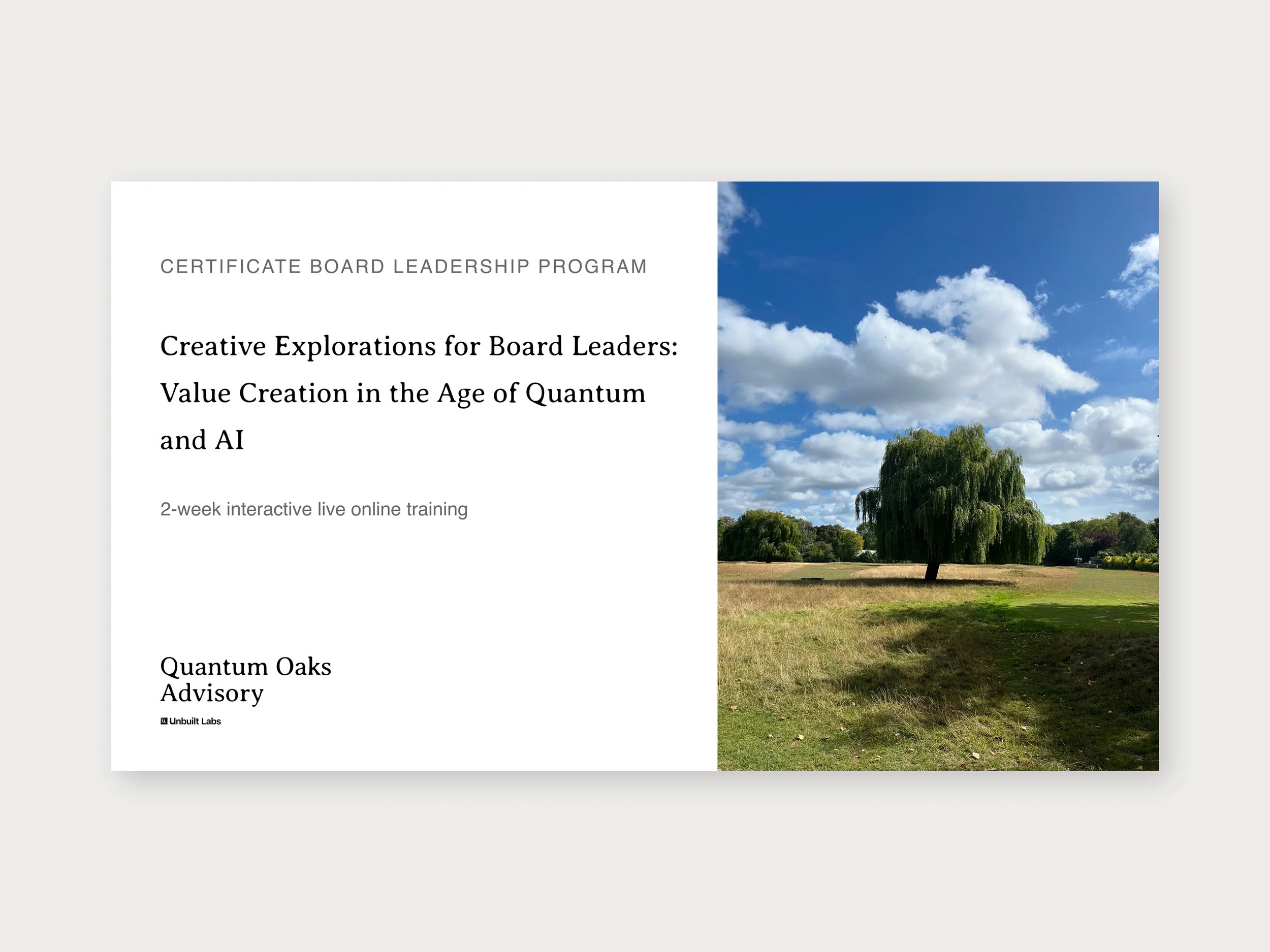 Top 10 Certificate Programs for board members to learn about quantum